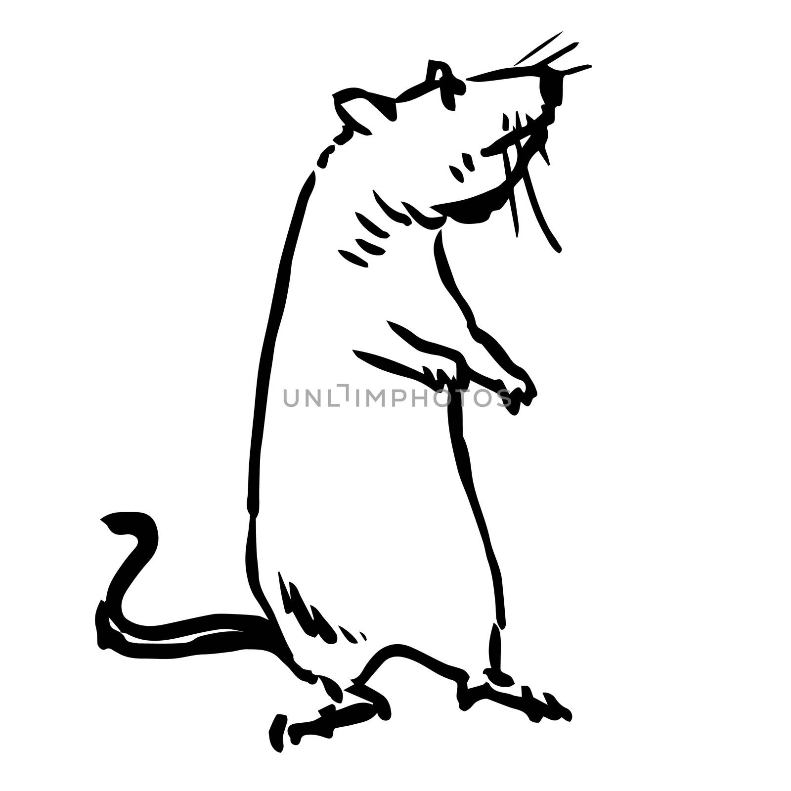 freehand sketch illustration of rat, mouse doodle hand drawn