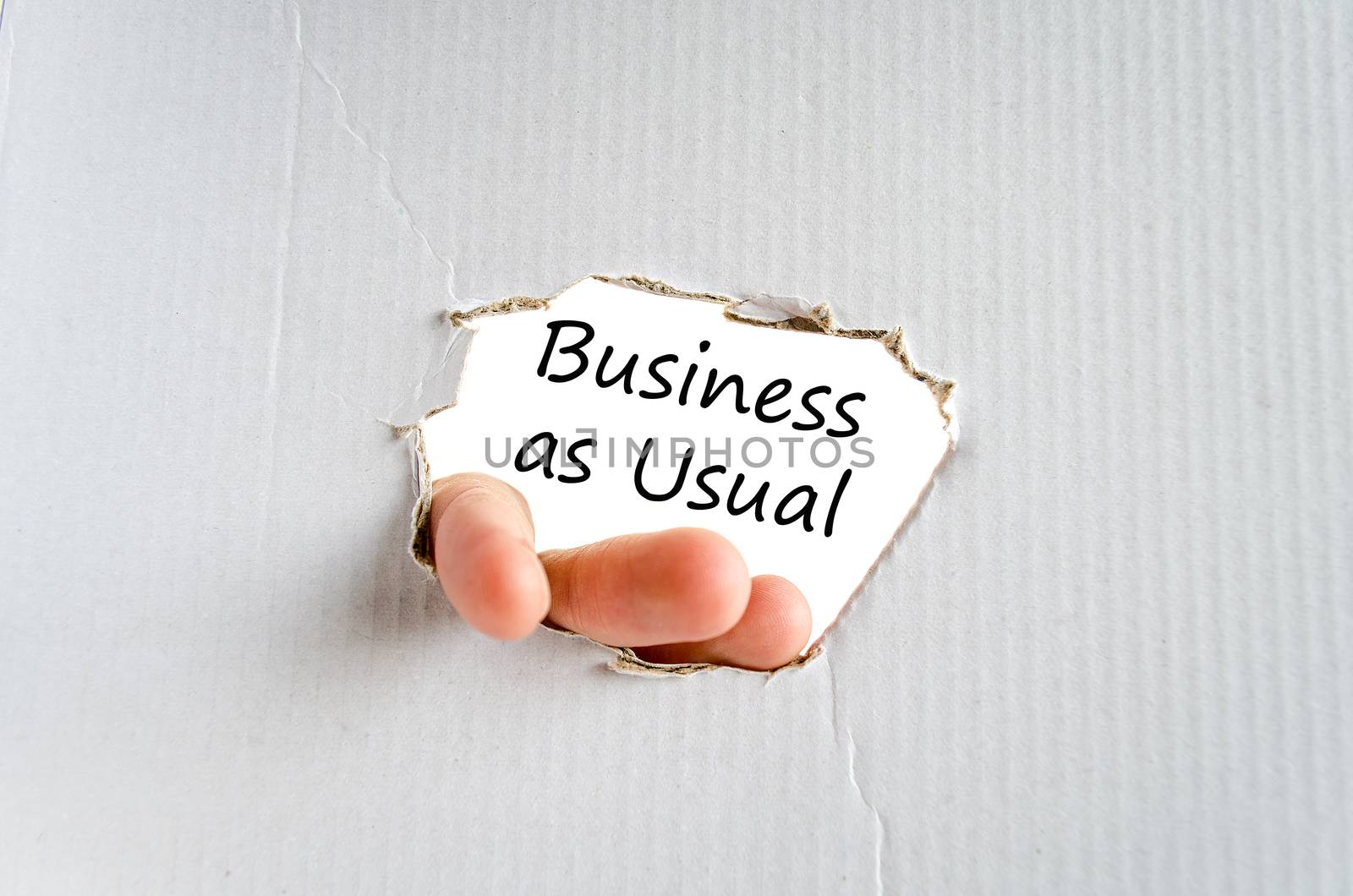 Business as usual text concept isolated over white background