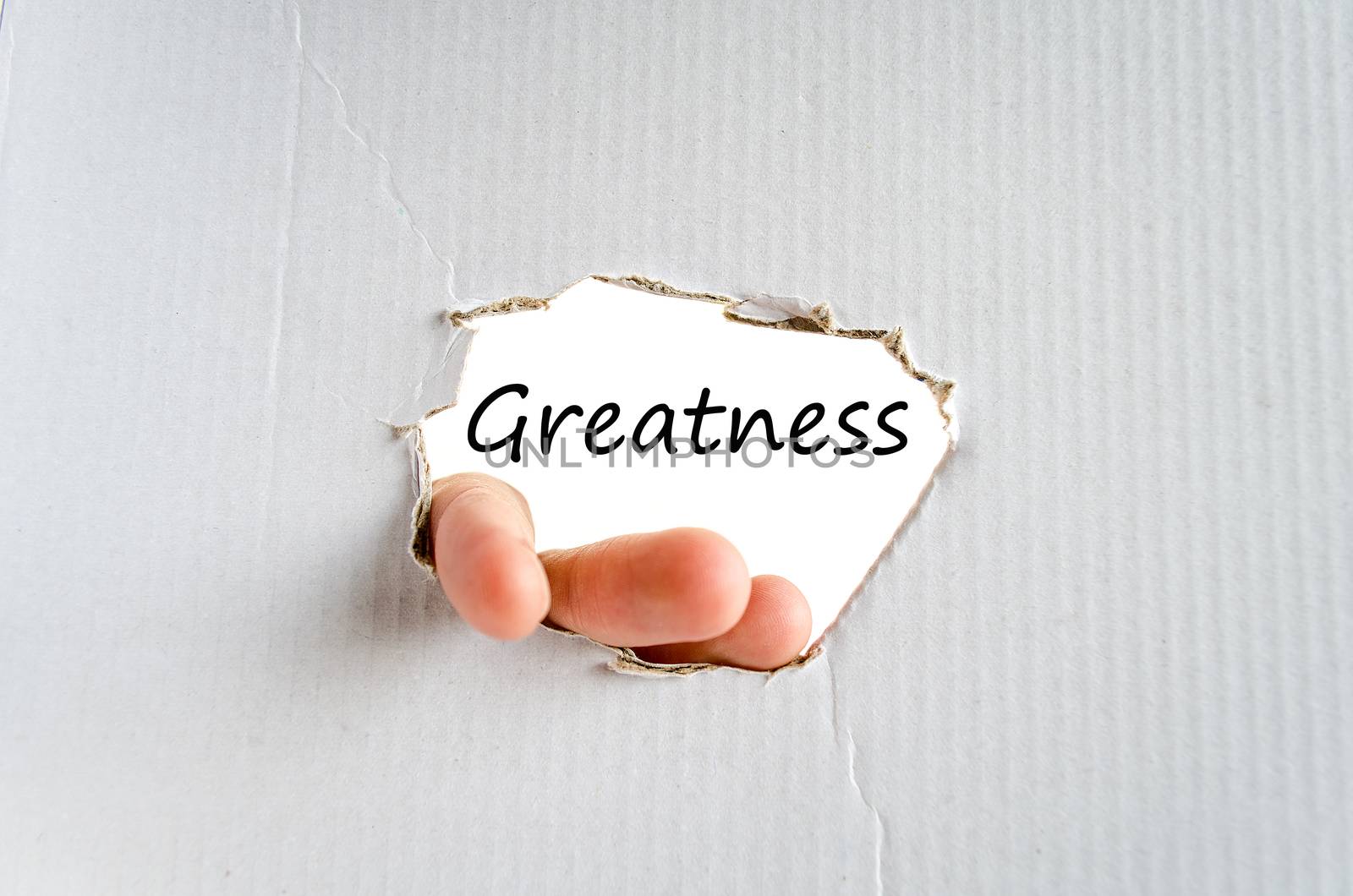 Greatness text concept isolated over white background