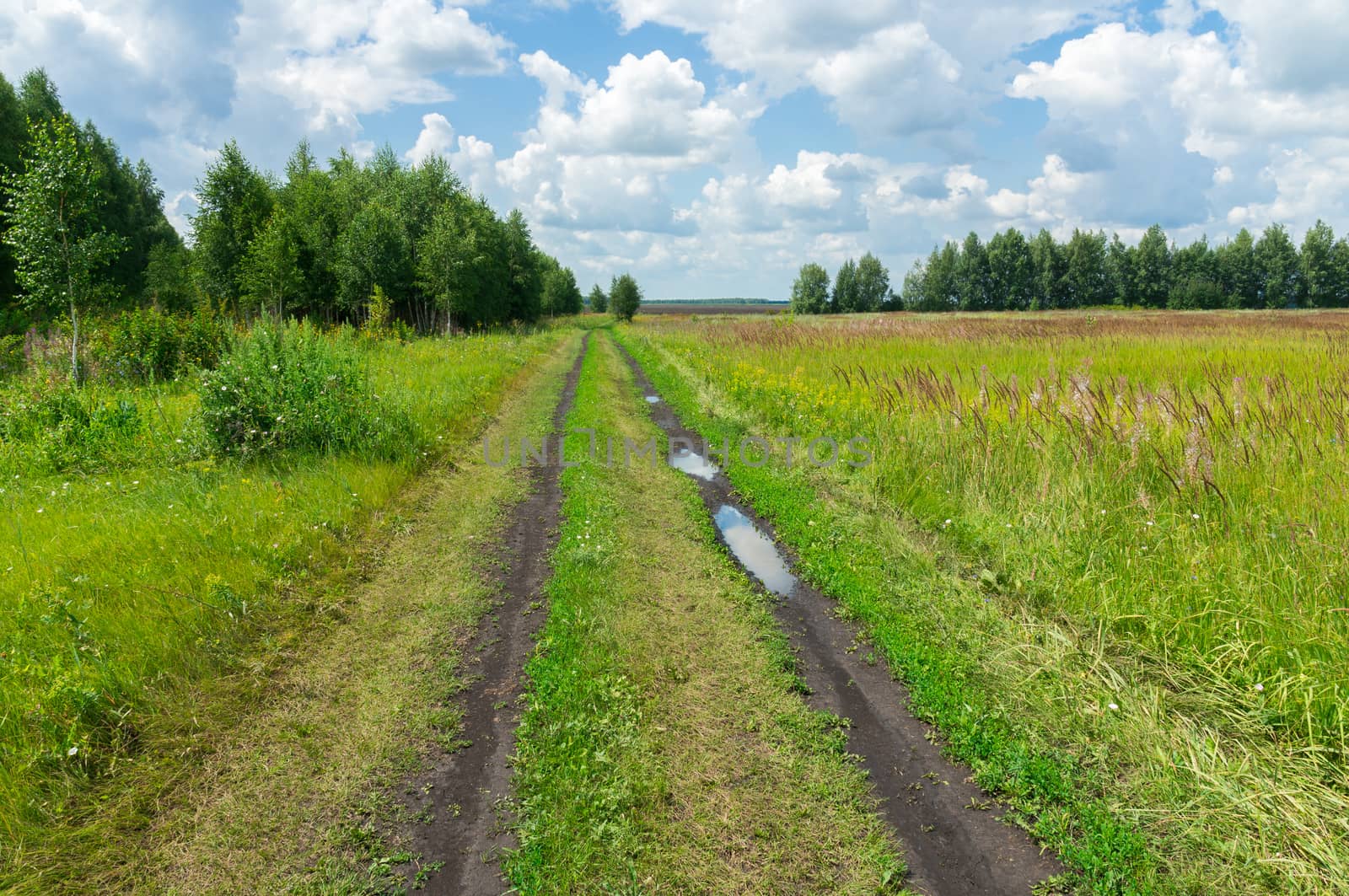 road in a field by AlexBush