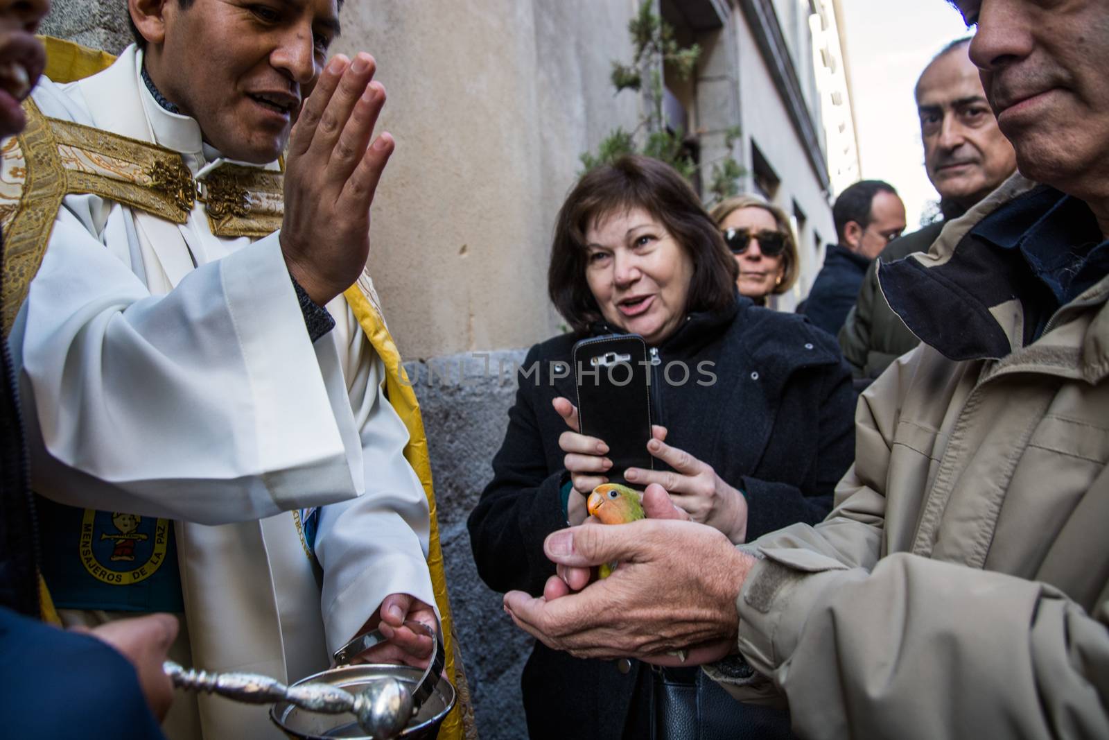 SPAIN, Madrid: A man holds his pet bird while it's being blessed by a priest outside the church of San Antón in Calle de Hortaleza in Madrid on Saint Anthony's day, the patron saint of animals, on January 17, 2016.