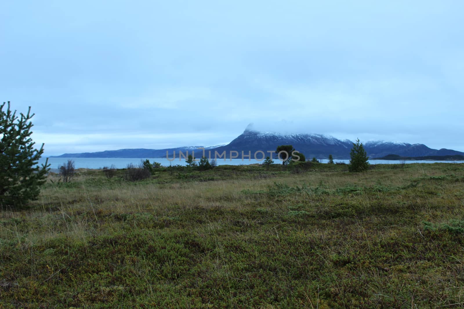 Arctic landscape Nordland