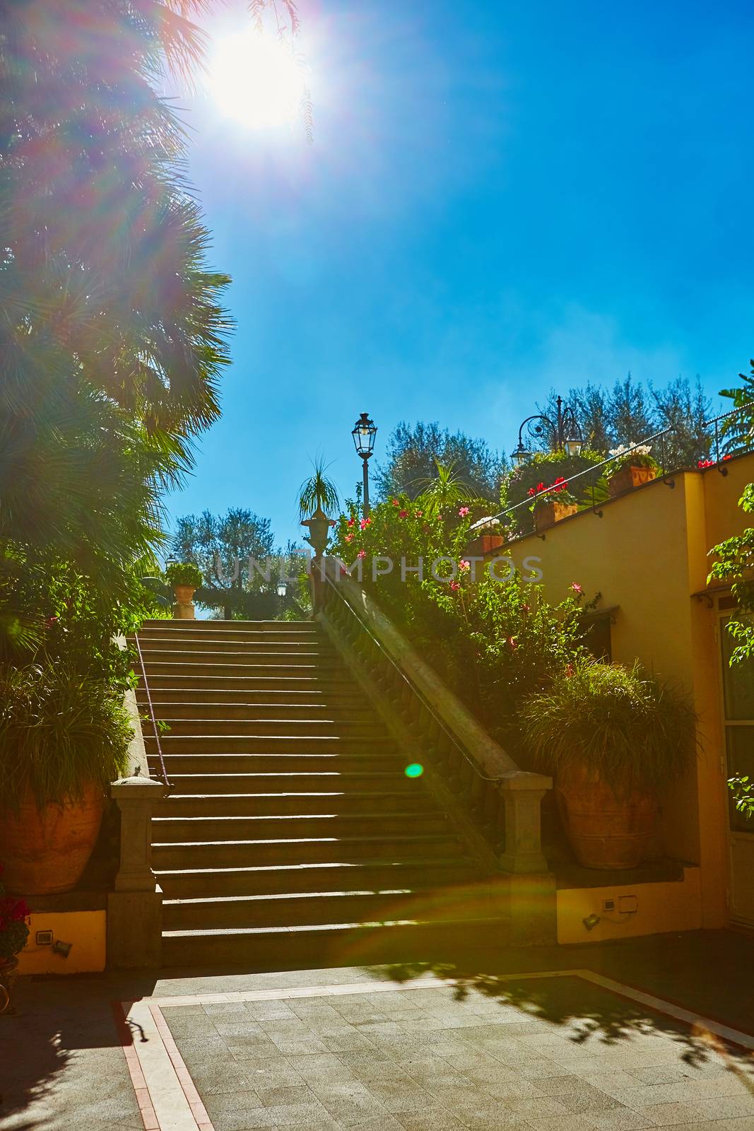 Brown concrete stair in city garden.  by sarymsakov