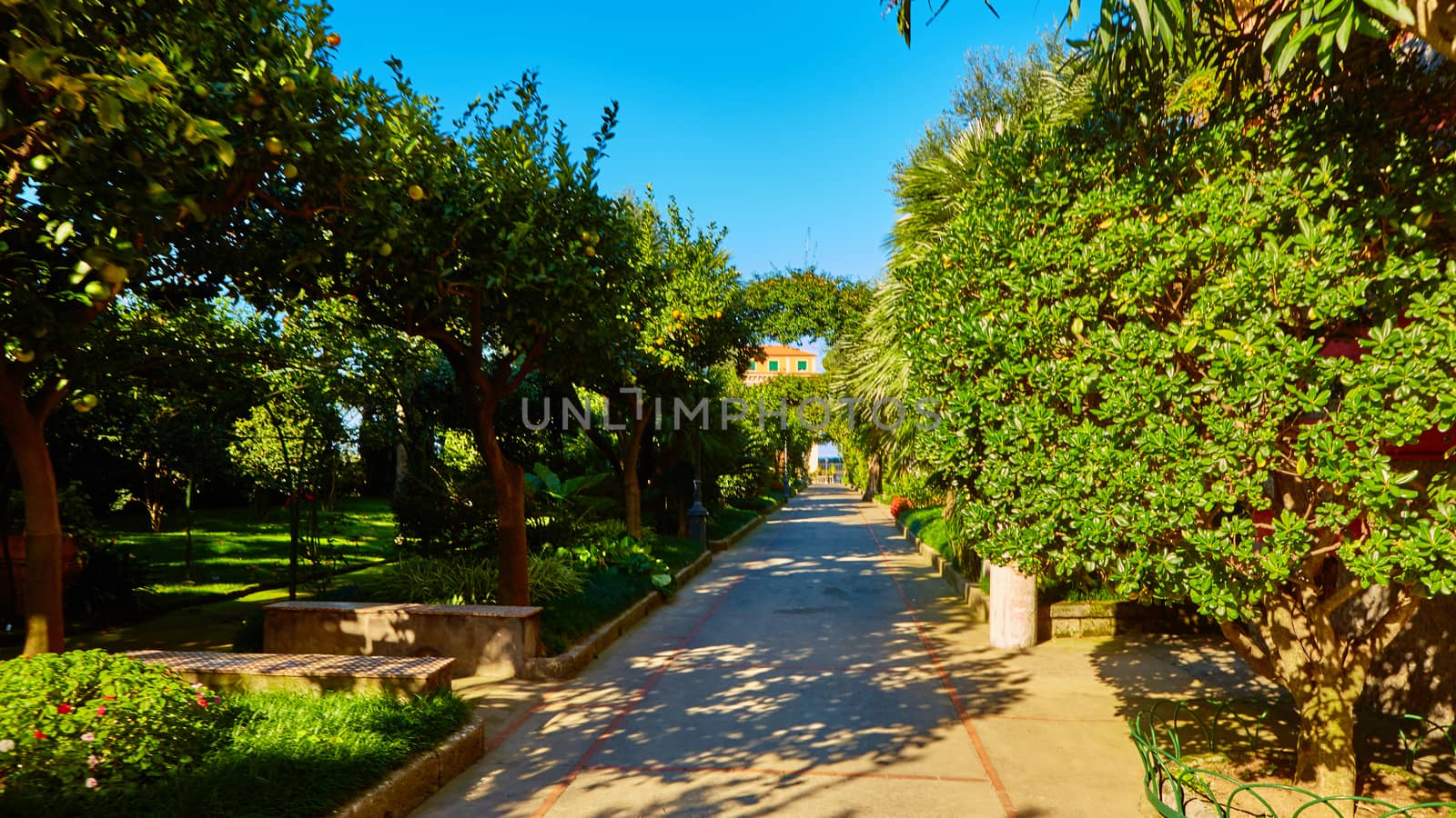 View of Green park in city at summer day