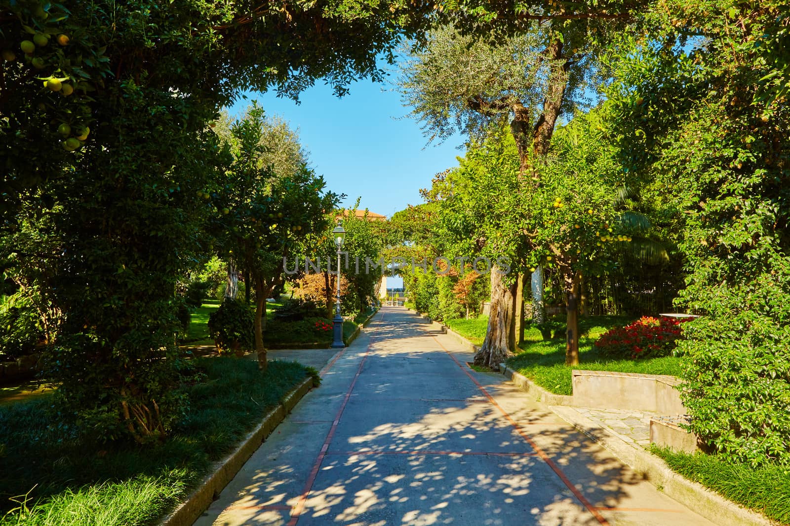 View of Green park in city at summer day