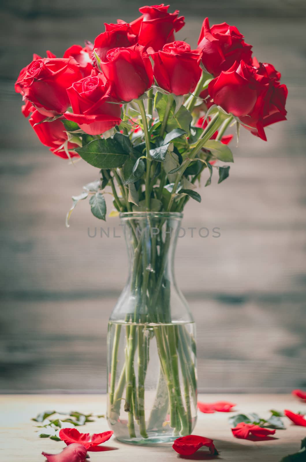 Valentines Day of Red rose in vase on wooden background
