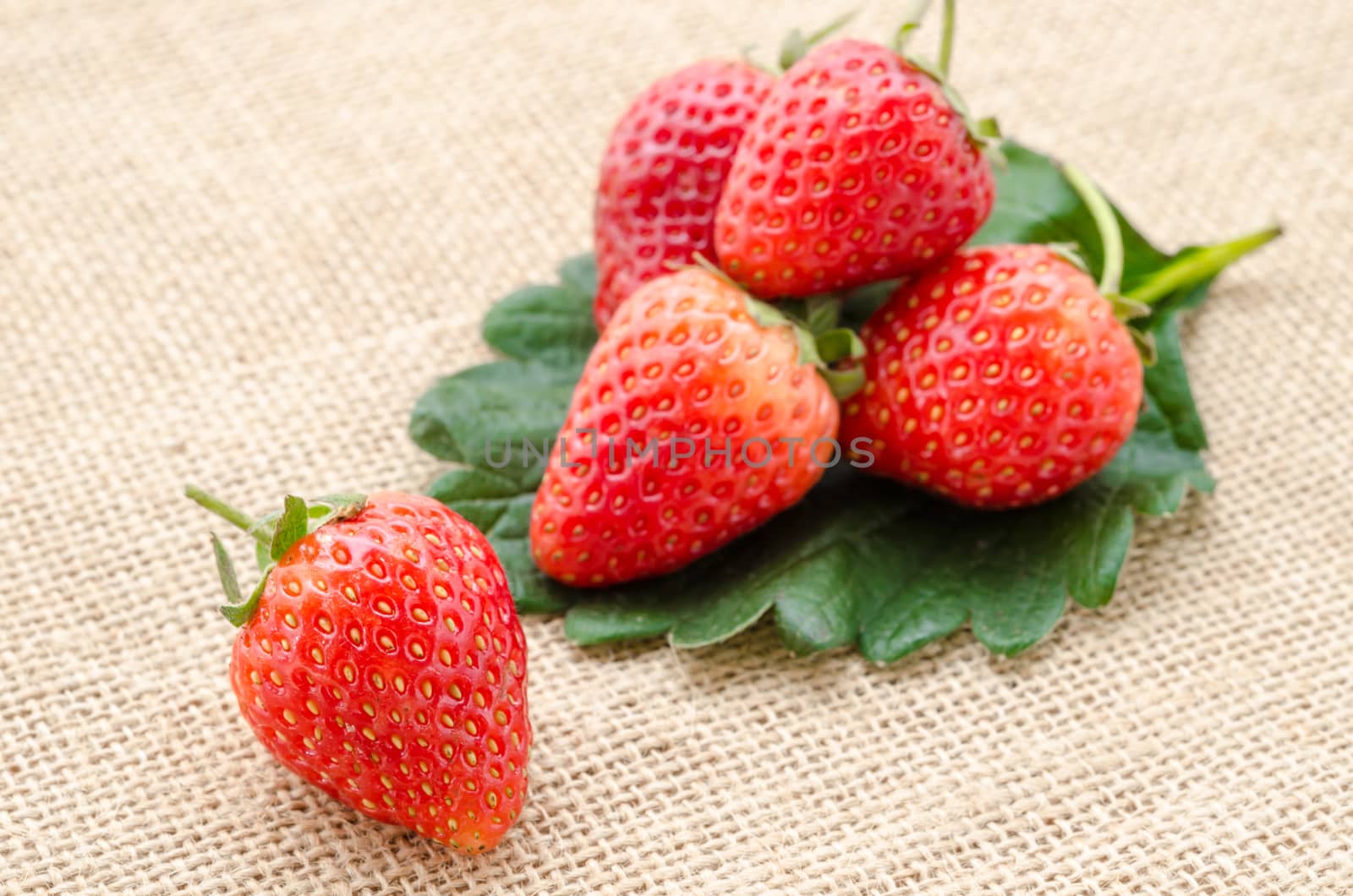 Strawberries with leaves on sacking background.