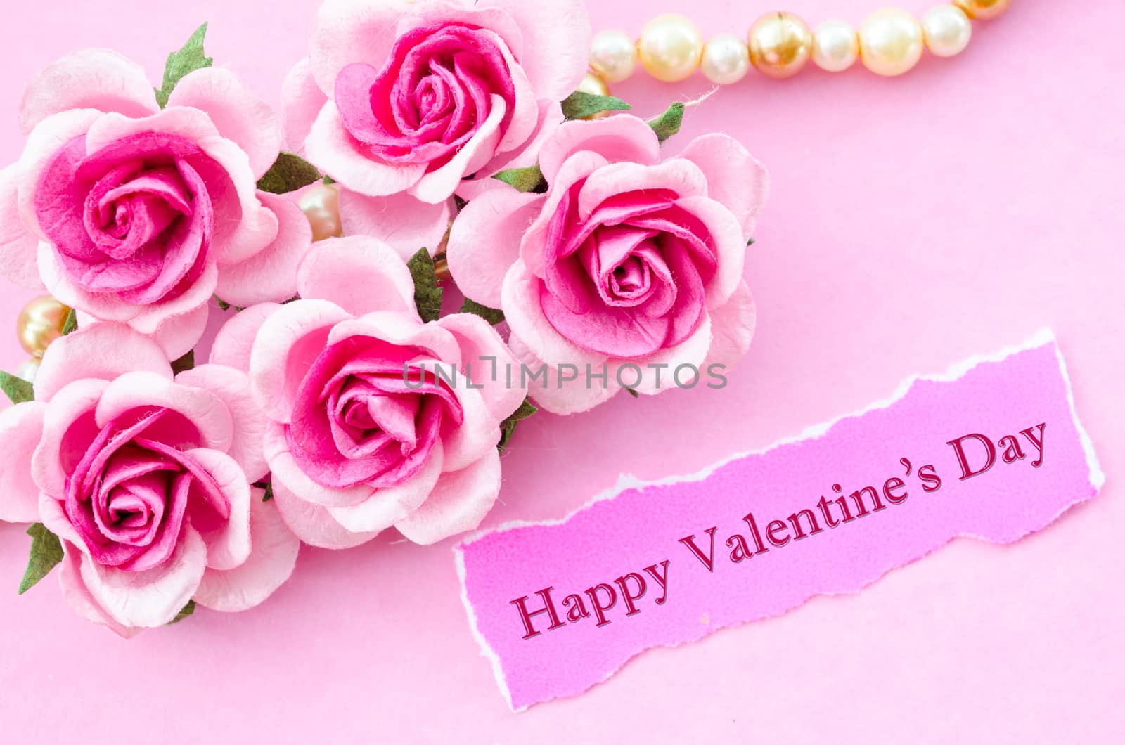 Happy valentine's day text card with pink rose on pink background.