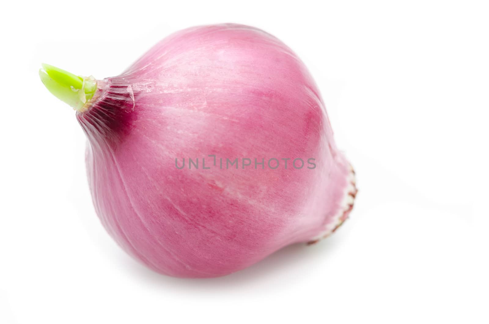 Red onion on white background.