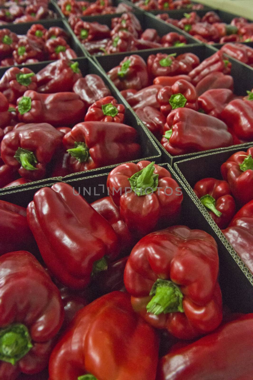 Beautiful organic peppers boxed and ready to go to market