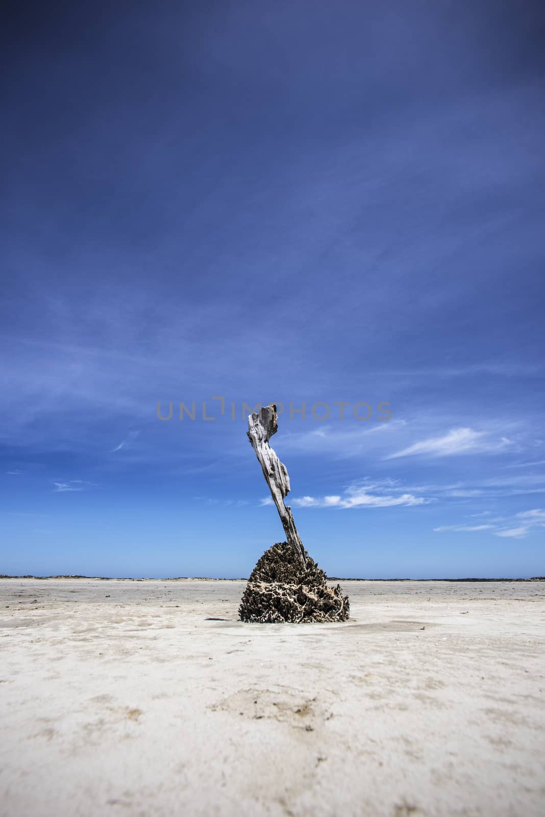 Old driftwood marker standing in pristine white sand at low tide