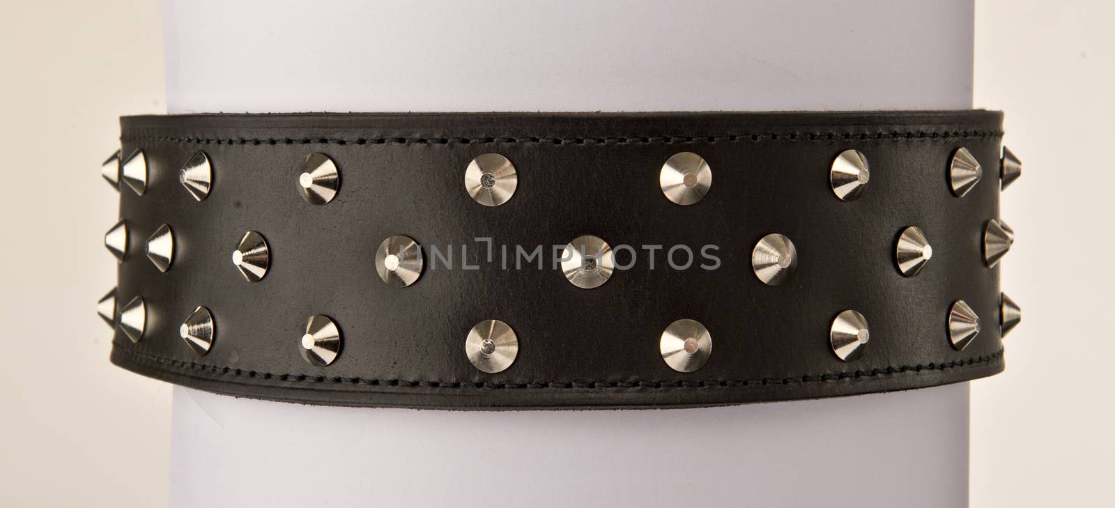 Black leather collar with stainless steal spike studs