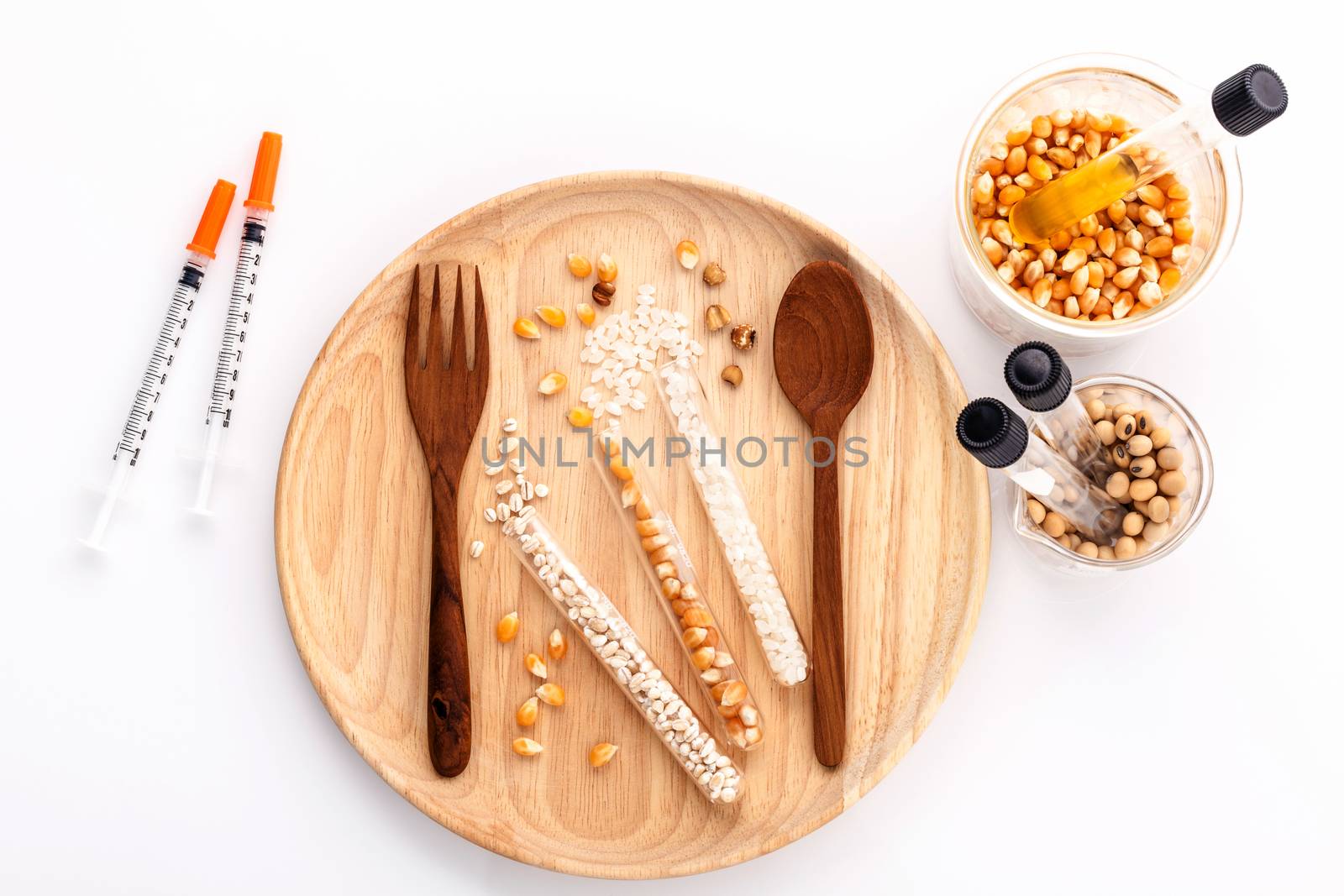Dangerous food from  laboratory agricultural grains and corn with wooden fork and spoon isolated on white background GMO food concept.