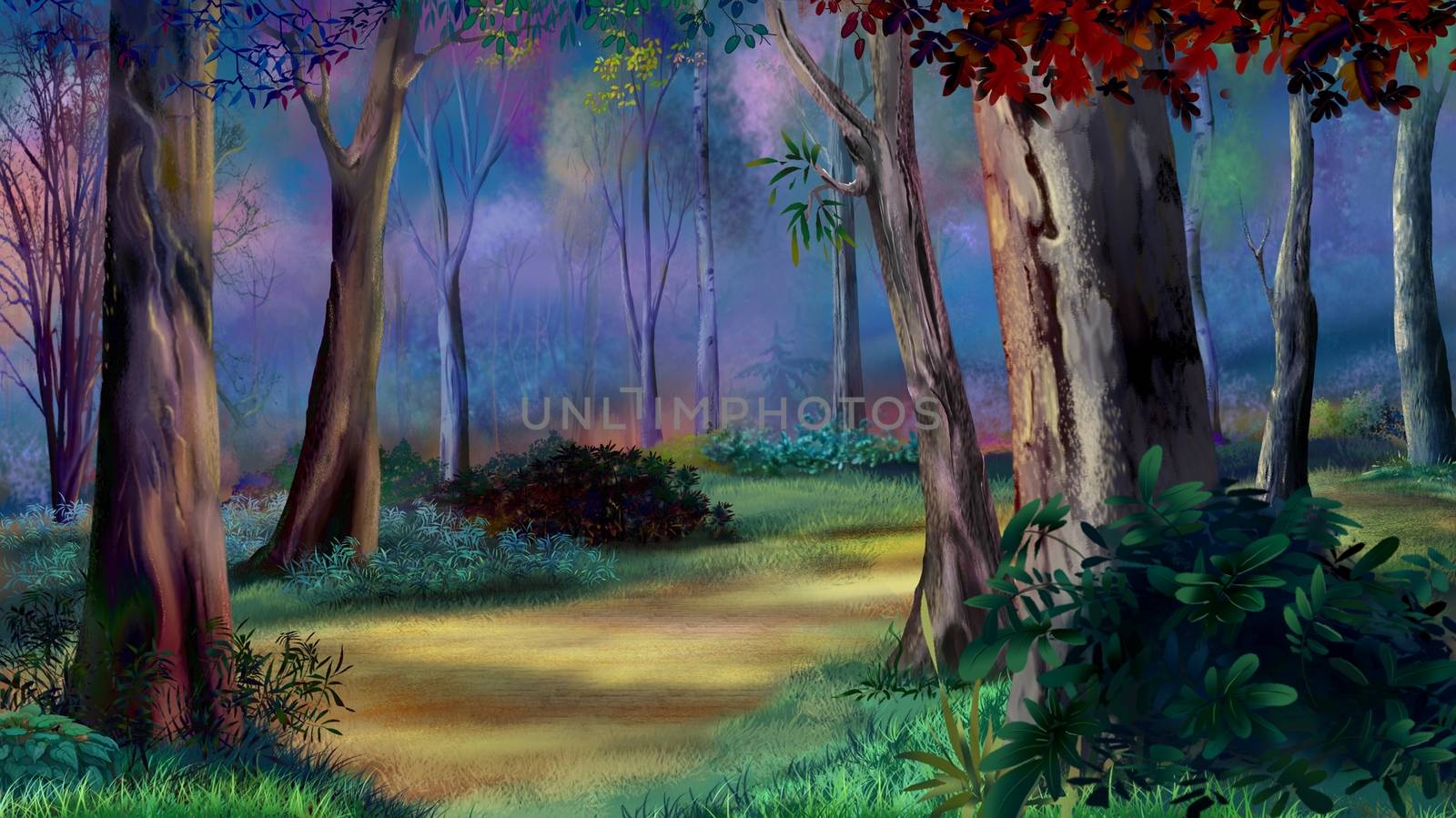 Digital painting of the Magic forest on sunset with path between trees