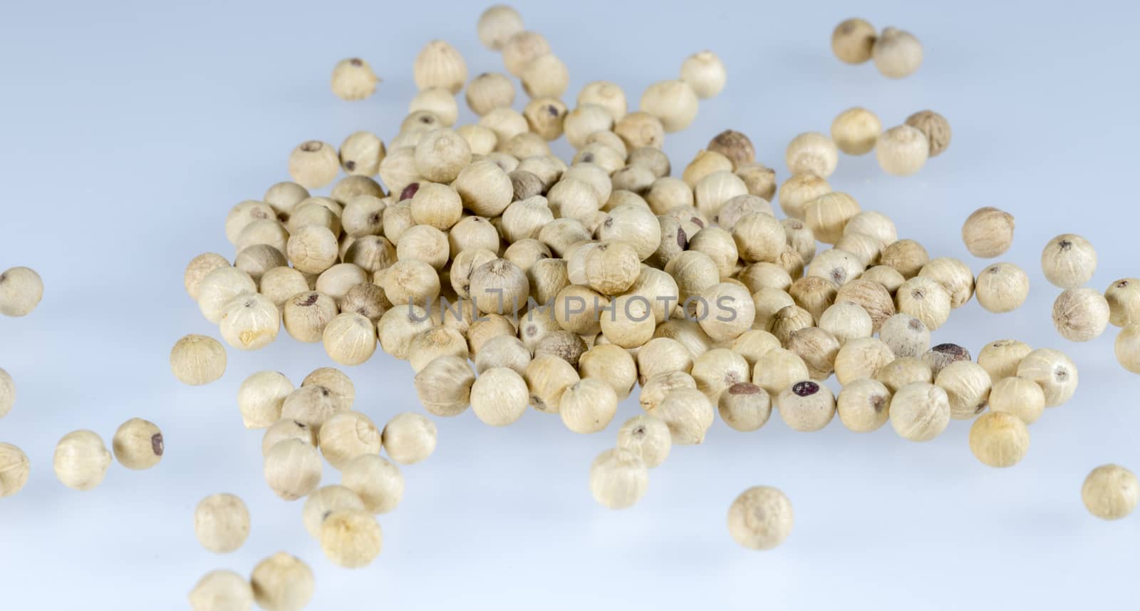 White Peppercorns Close Up