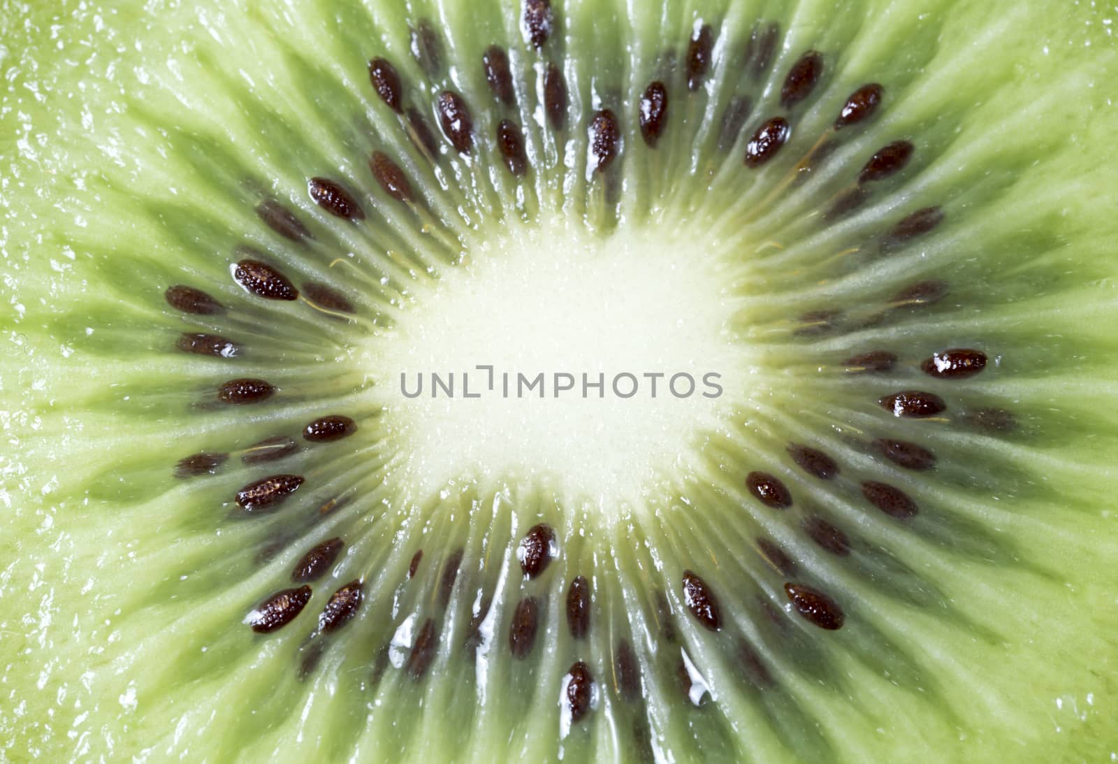 Center of a Sliced Kiwifruit close up macro image.