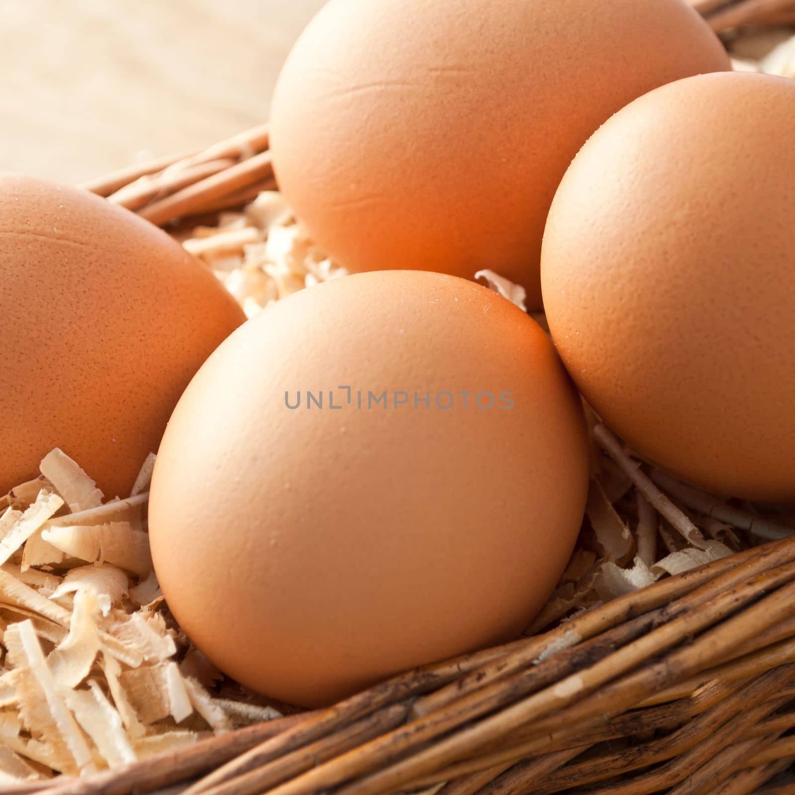 Egg on sawdust with old basket over on wooden background