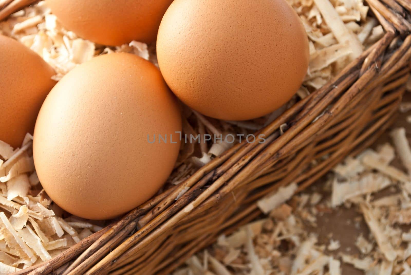 Egg on sawdust with old basket over on wooden background