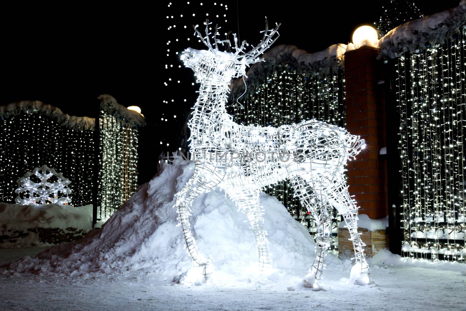 The photo depicts a Christmas reindeer from light bulbs