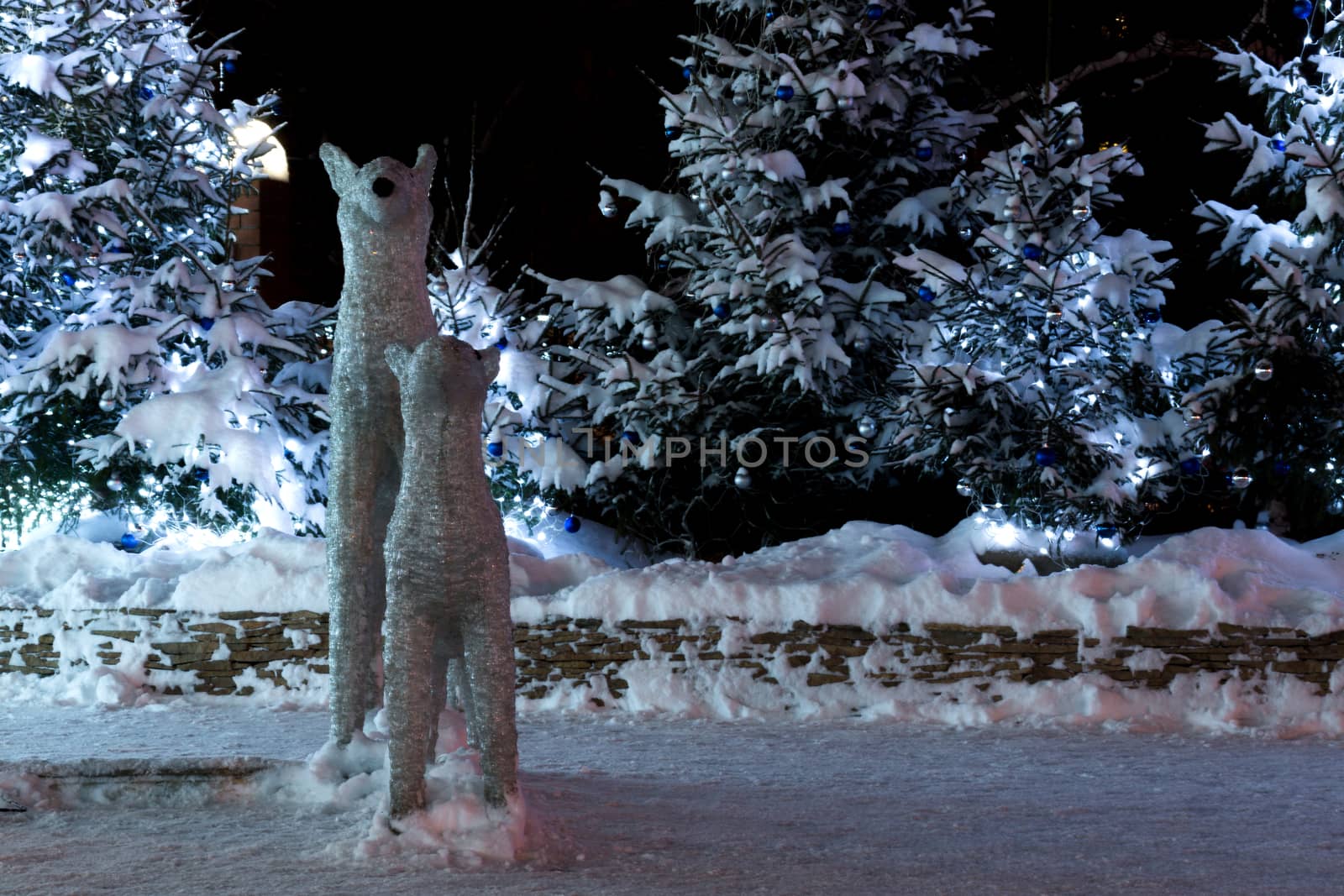 The photo shows a Christmas tree decorated with tinsel