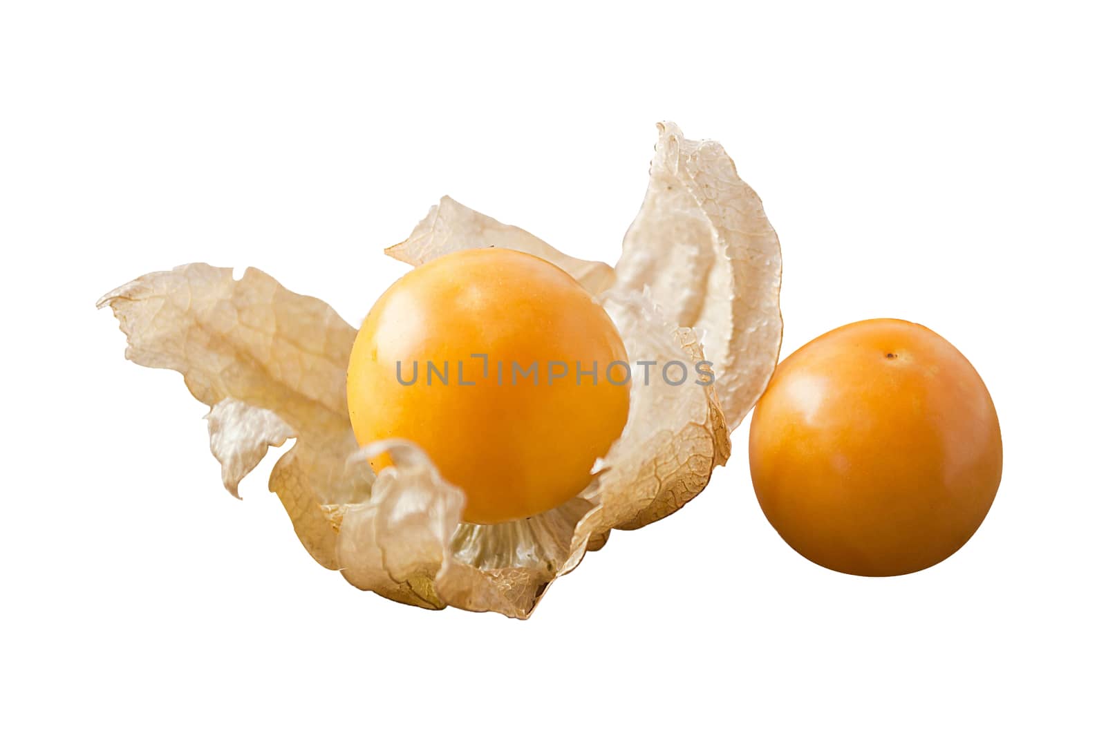 Cape gooseberry (physalis) isolated on white background