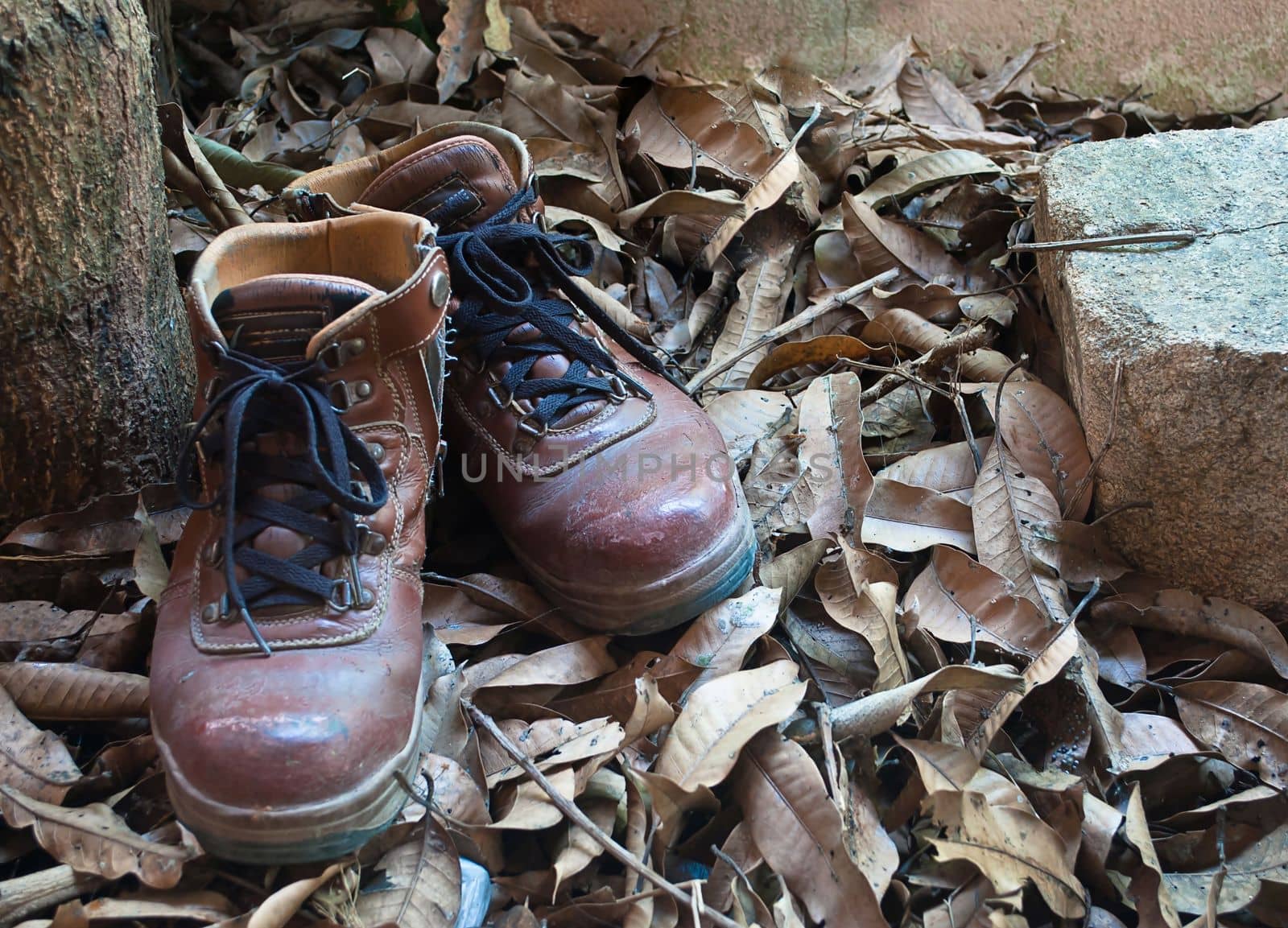 Vintage leather shoes in autumn forest, still lift by rakoptonLPN