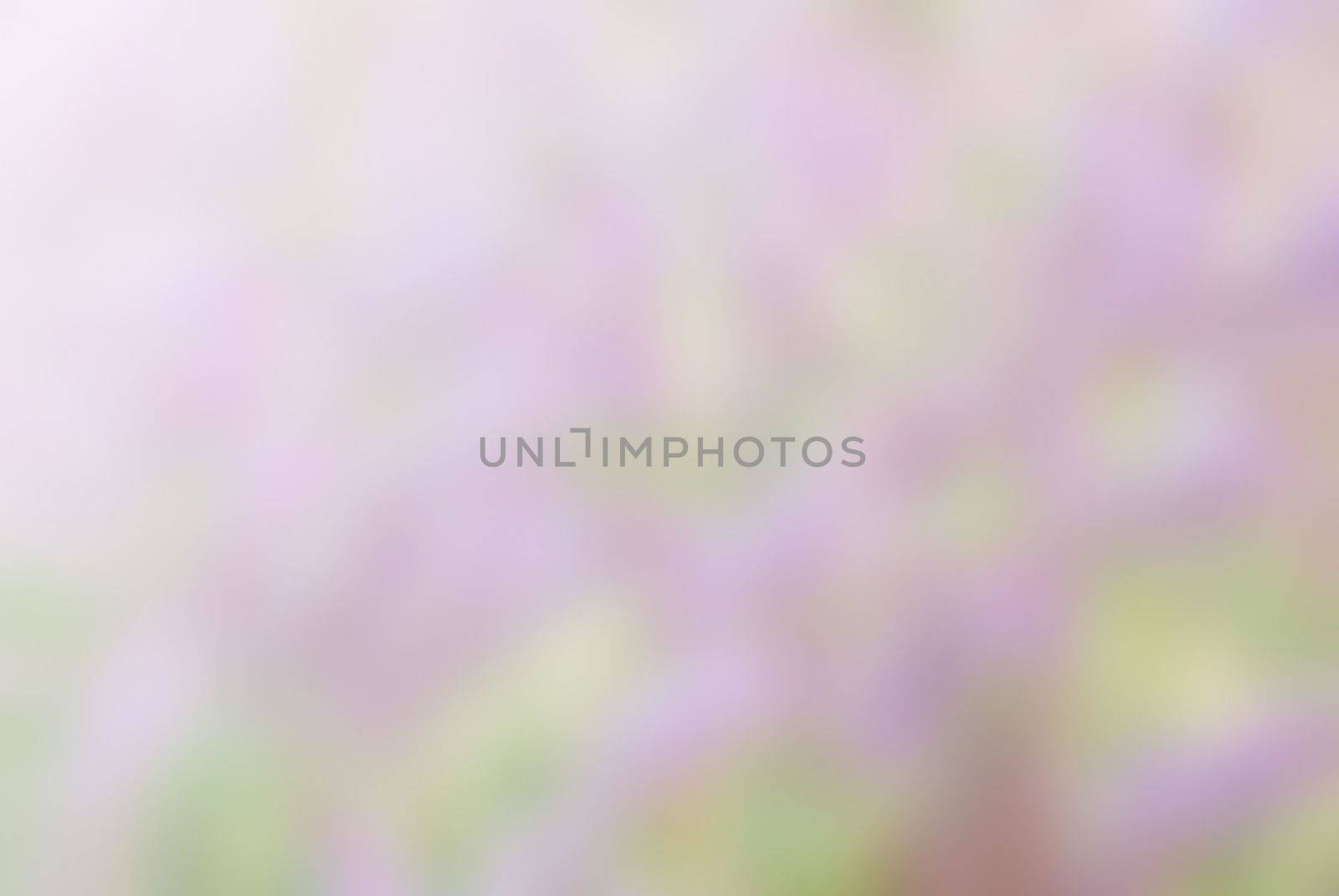 Awesome abstract pink background for webdesign, colorful background, blurred, wallpaper by rakoptonLPN