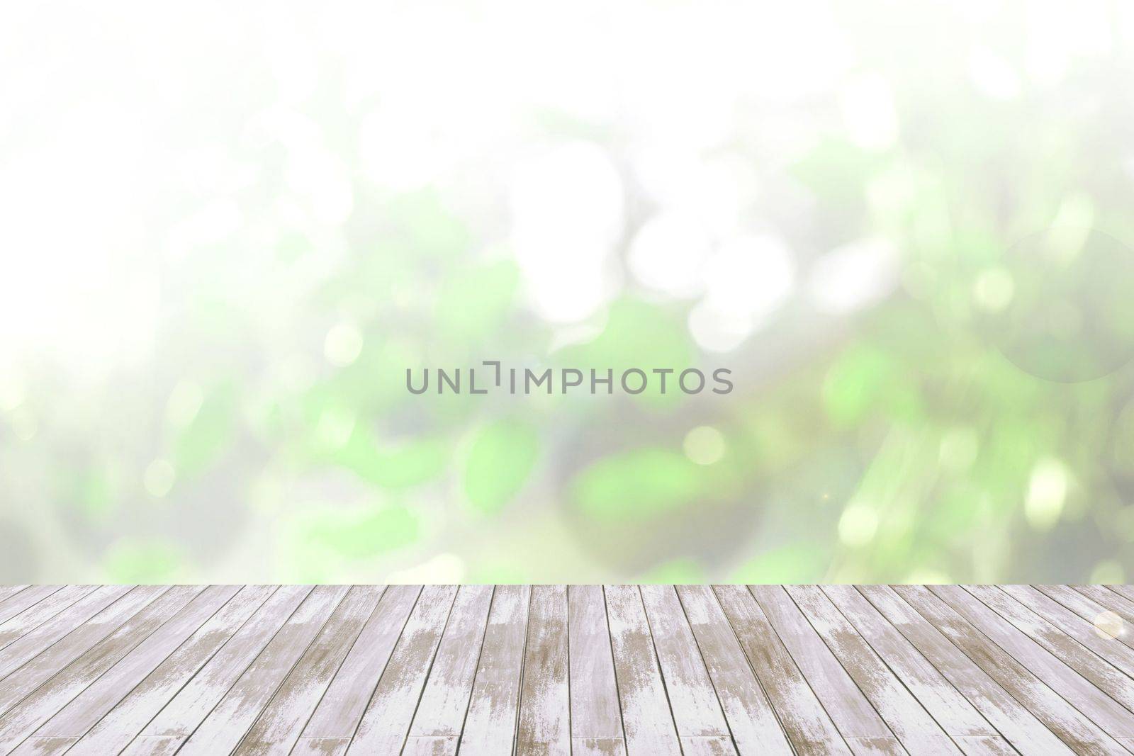 Blurred abstract background of looked-up tree in green tone with wooden floor by rakoptonLPN