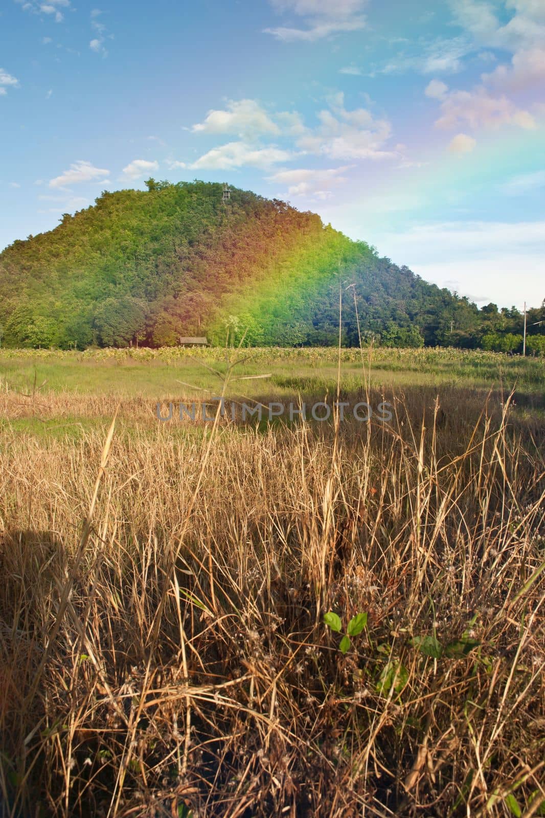 mountain view with rainbow from nature in thailand by rakoptonLPN