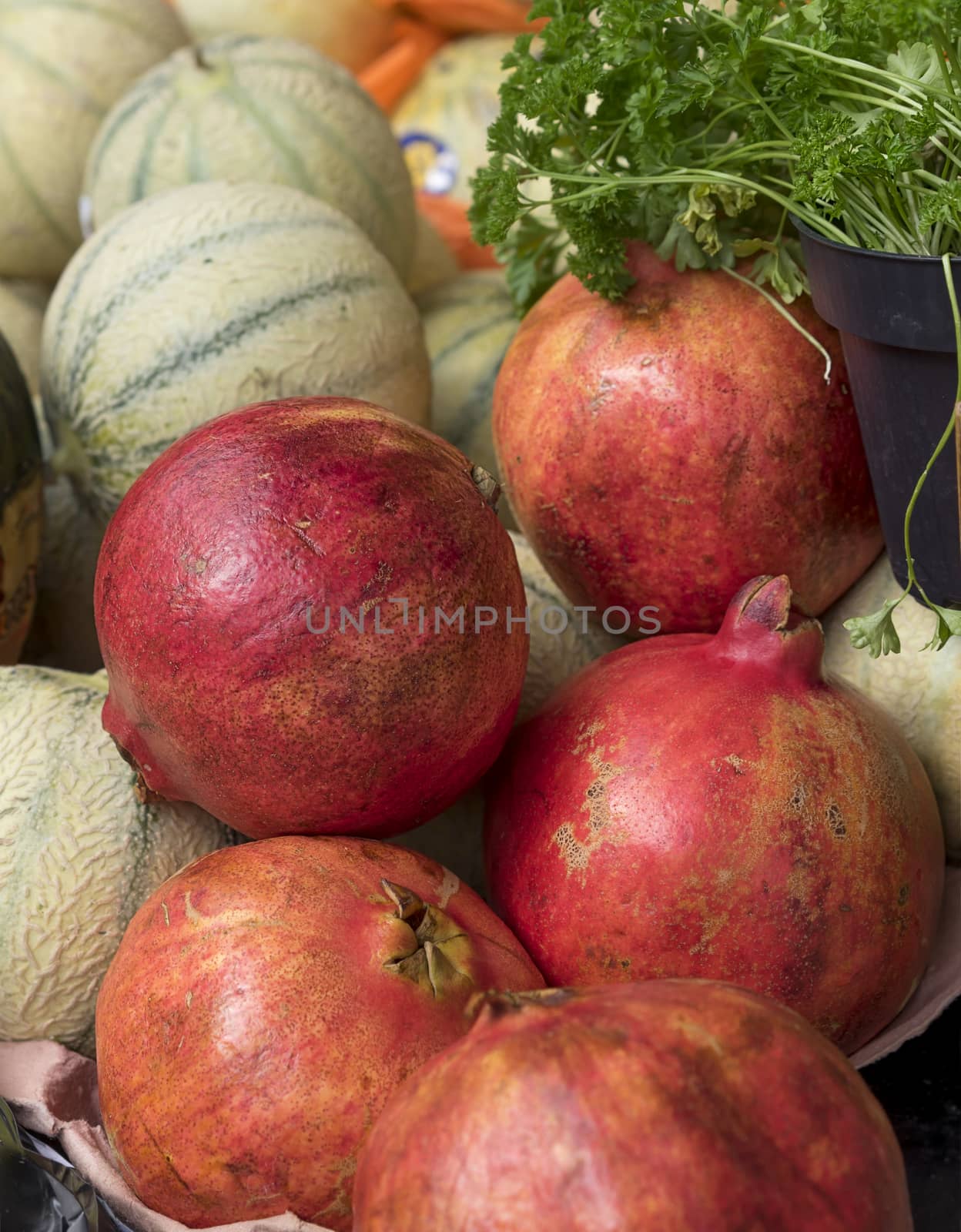 Fresh produce with pomegranates, rockmelons, parsley by sherj