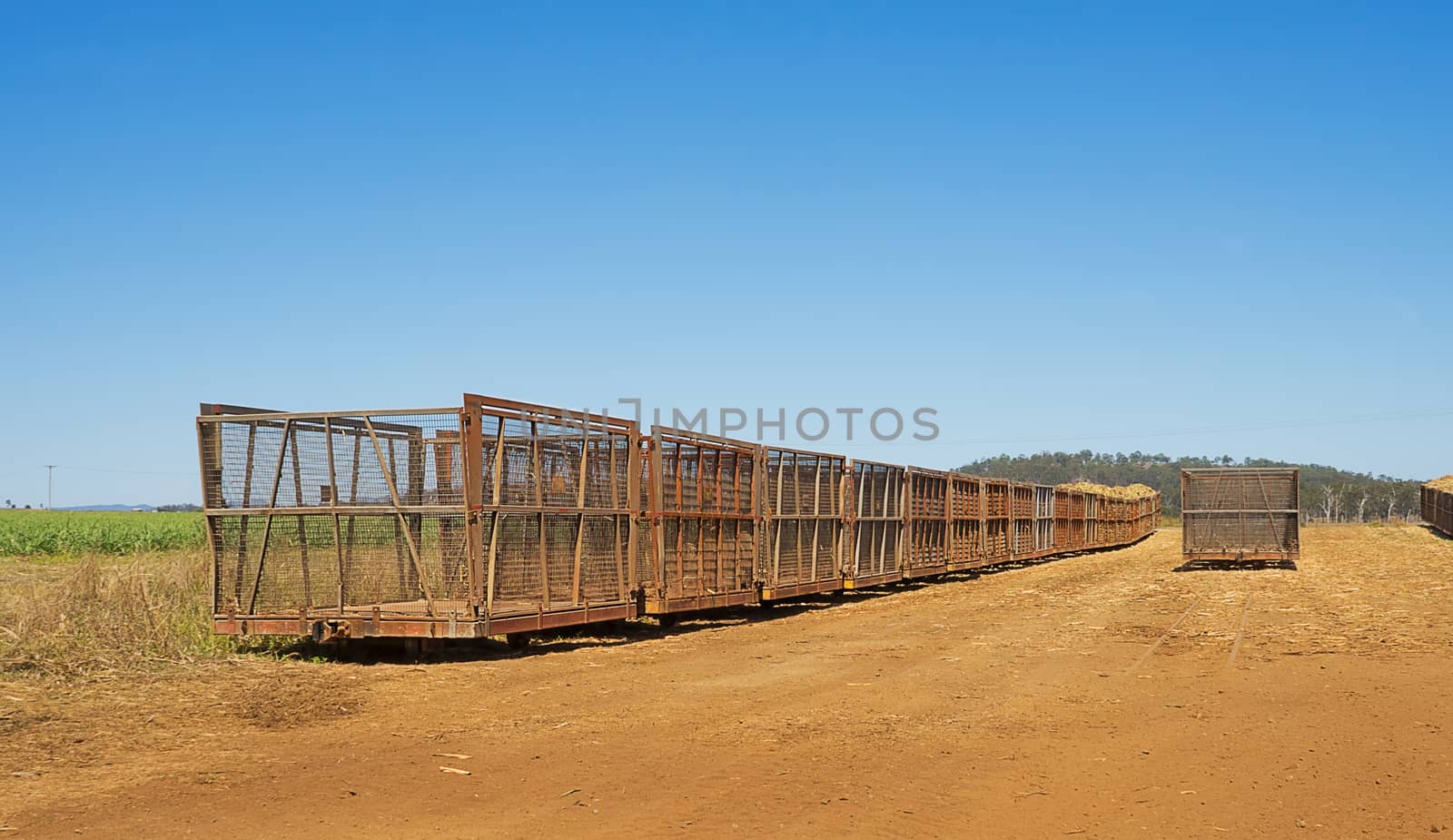 Australian rural scene countryside with cane train carriages on a sugarcane plantation