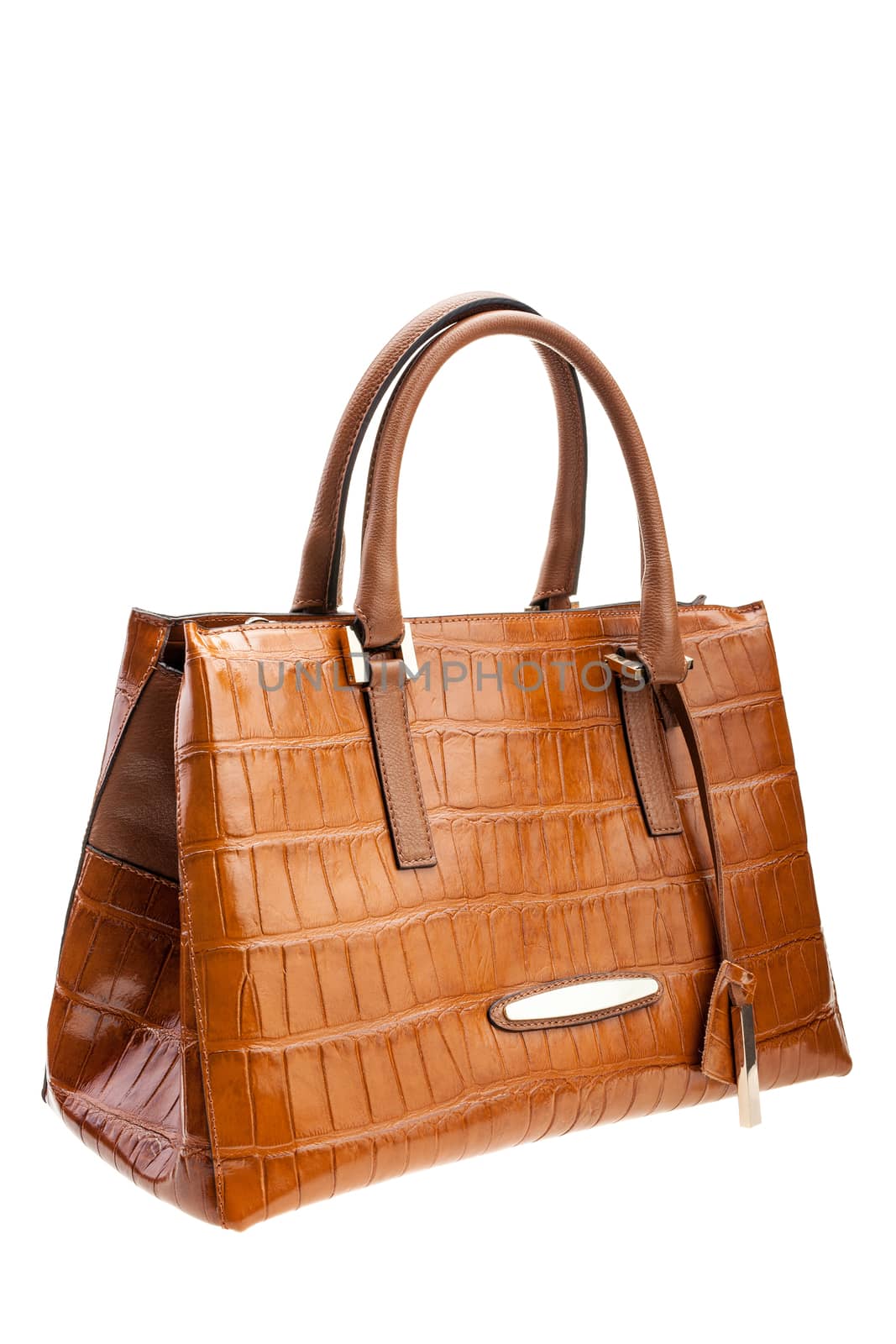 New Brown leather womens bag with crocodile texture isolated on white background.