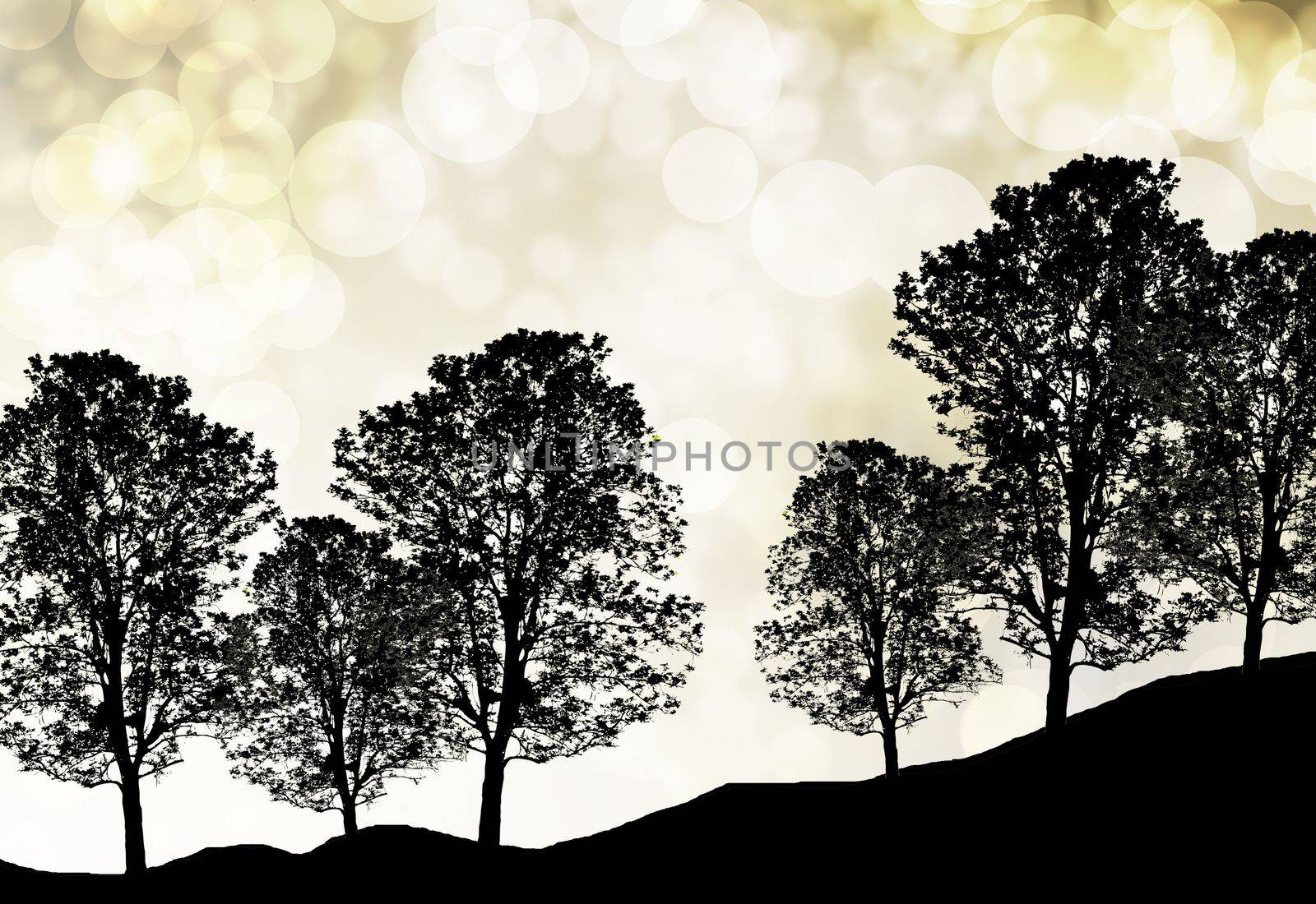 trees silhouettes in bokeh for background by rakoptonLPN