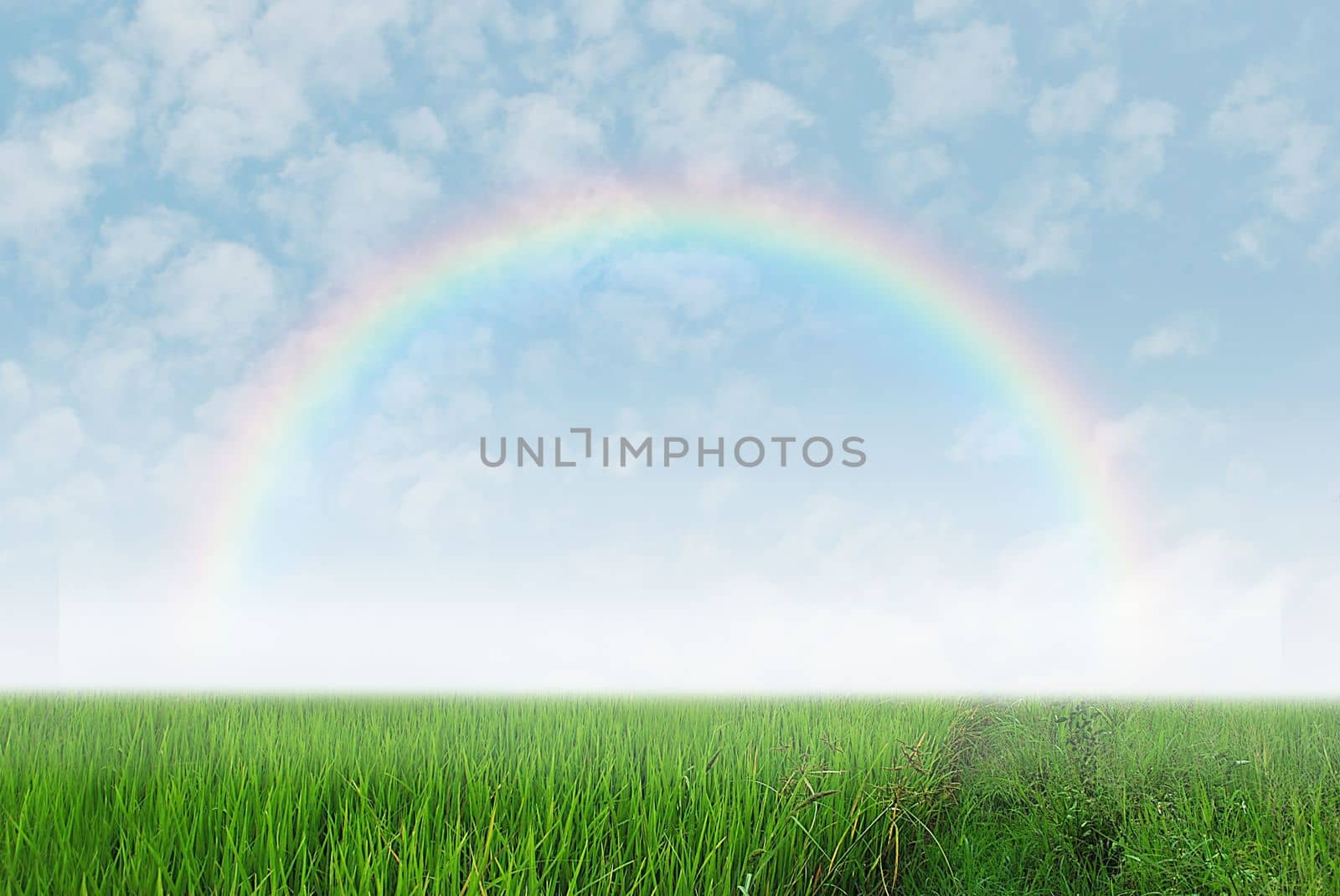 Green field with rainbow