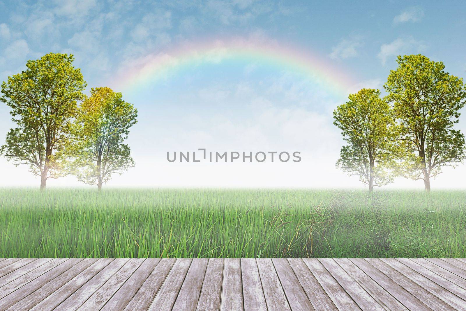 wood terrace and field on a background of the blue sky with rainbow