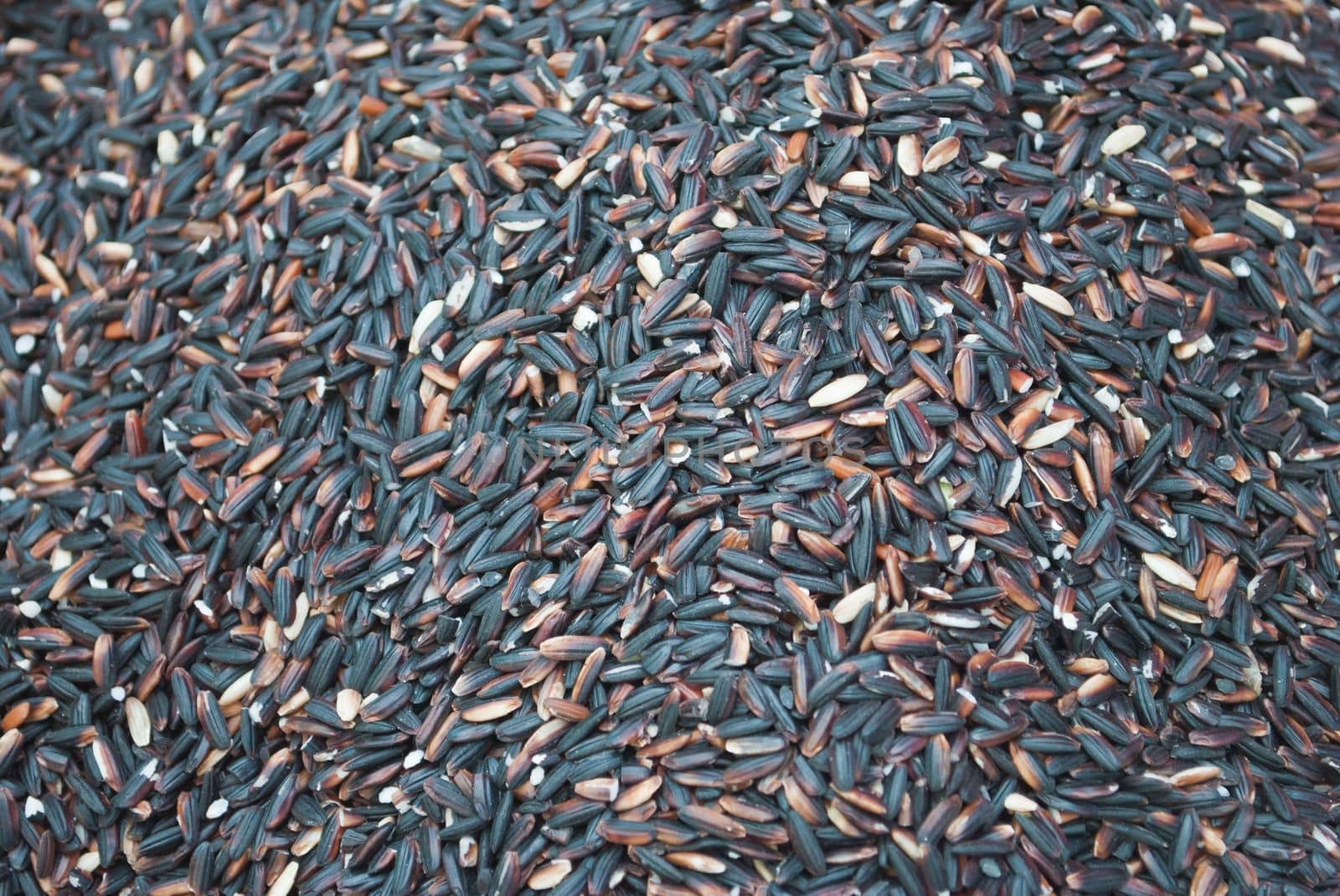 image of black rice