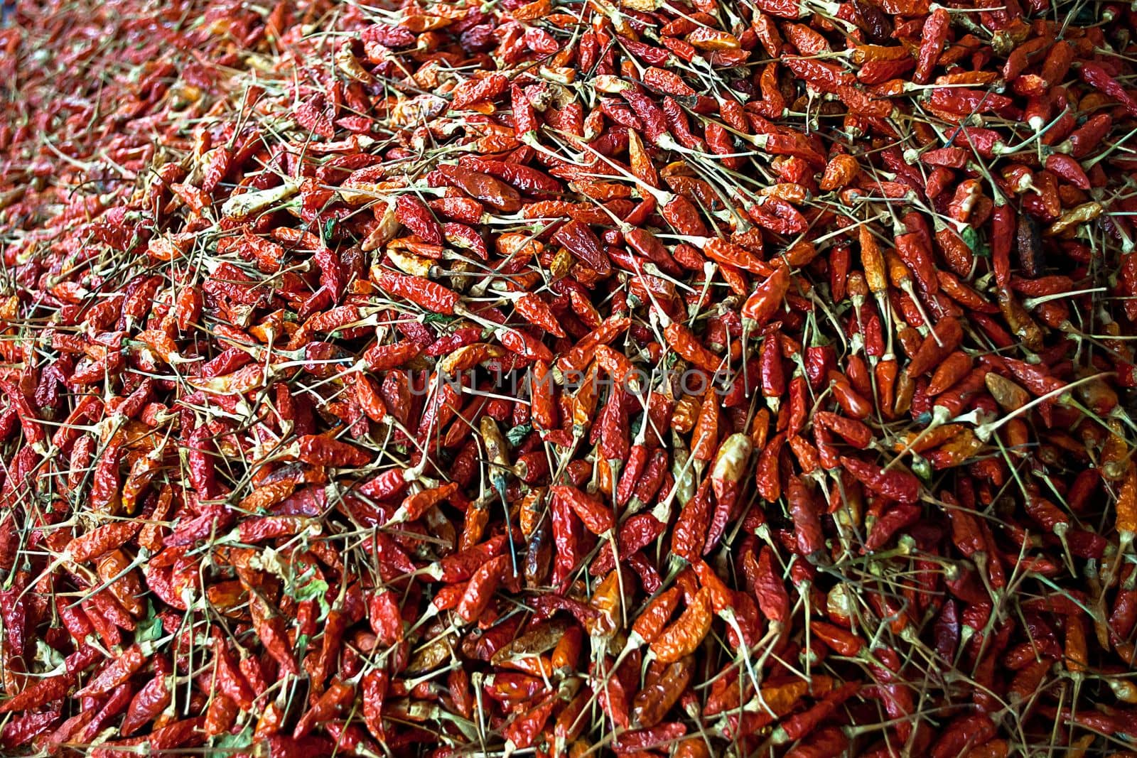 image of red chilli dried by rakoptonLPN