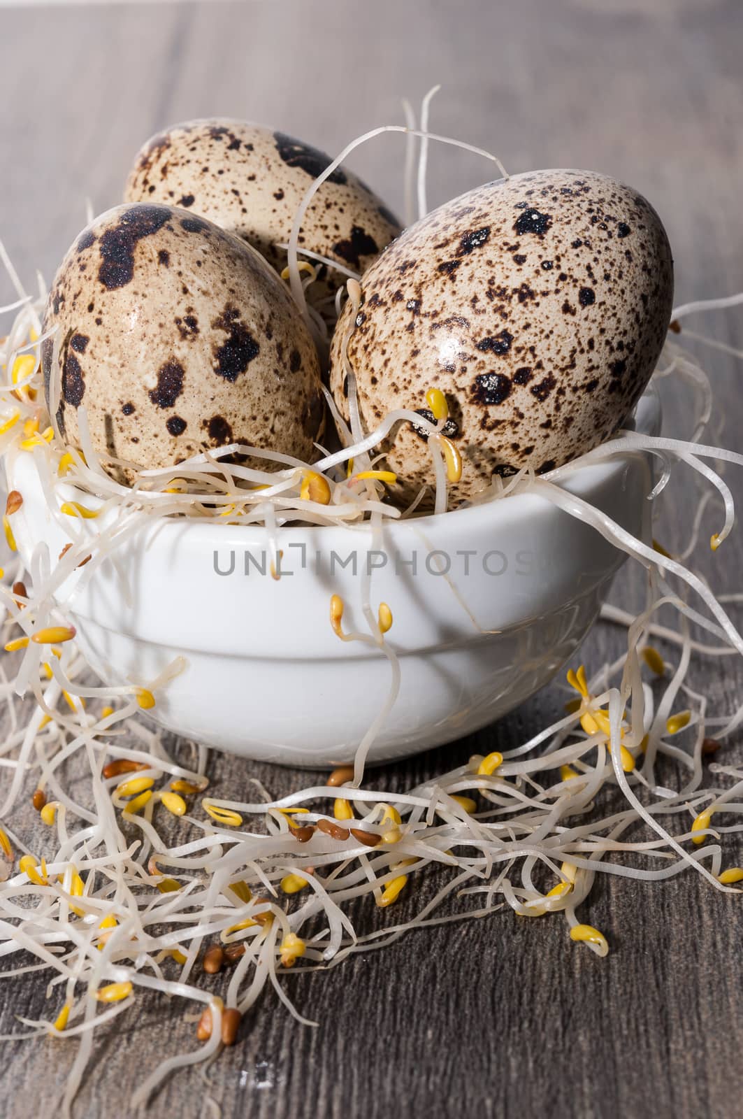 Quail eggs on a bowl of alfalfa sprouts