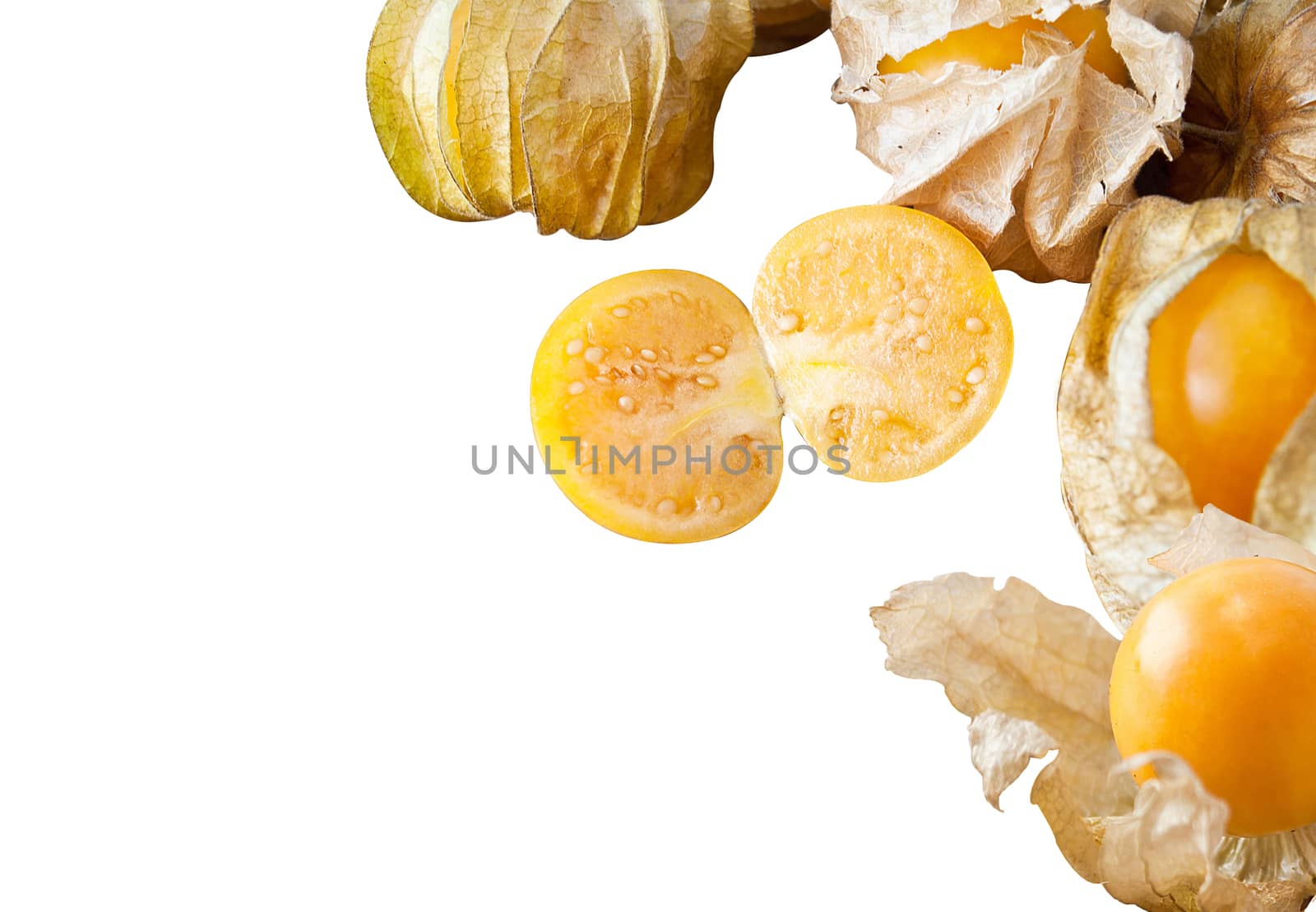 cape gooseberries isolated on a white background with space for text