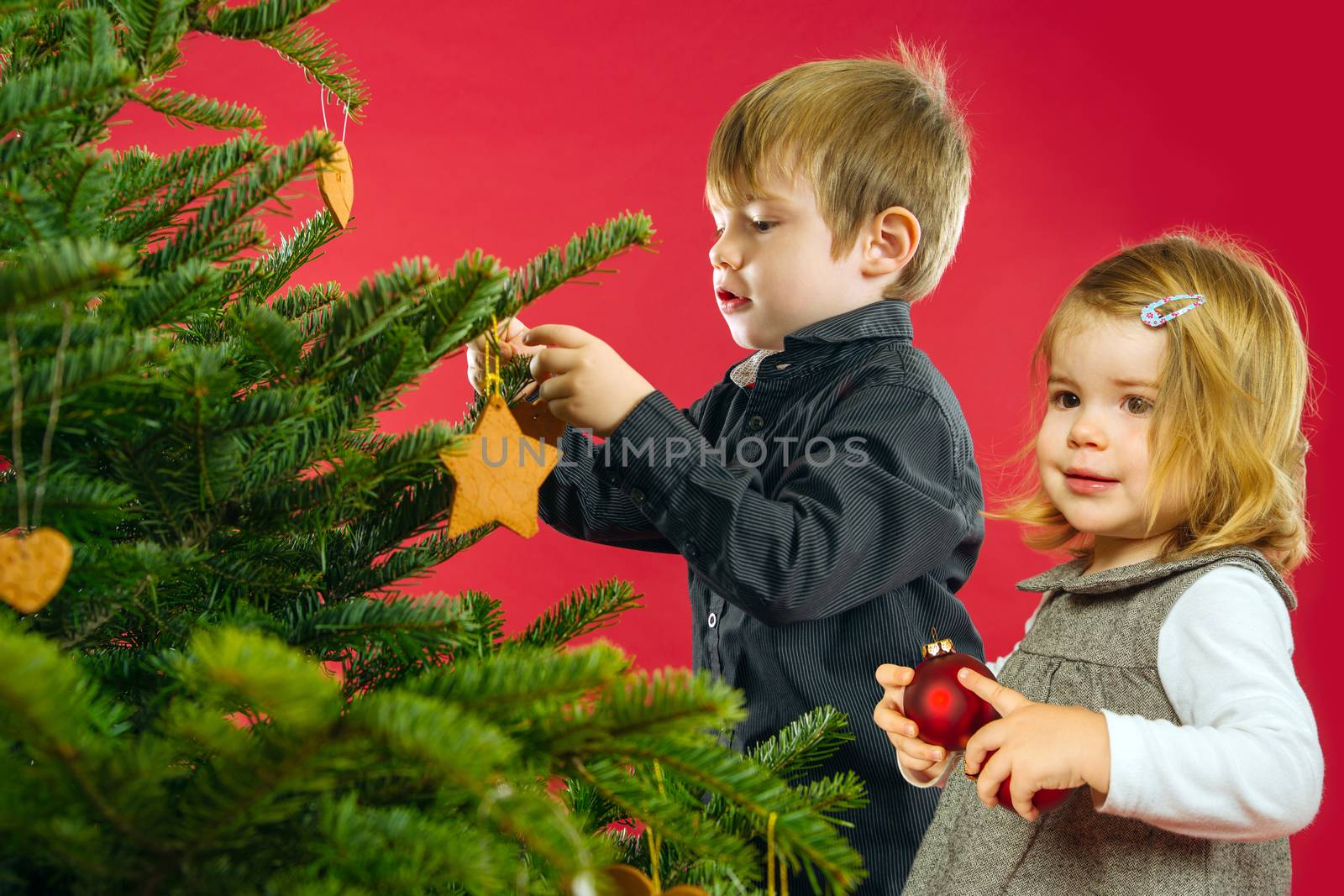 Brother and sister hanging Christmas tree decorations by sumners