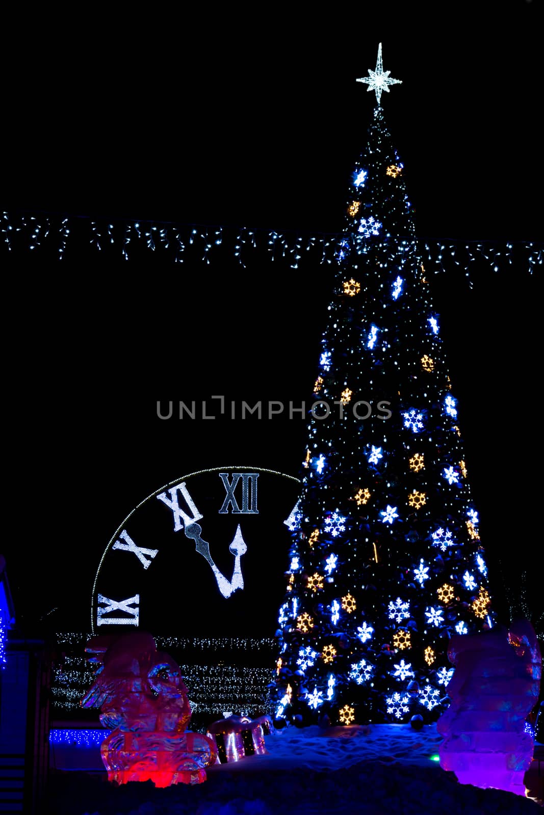 The photograph shows the tree with clock