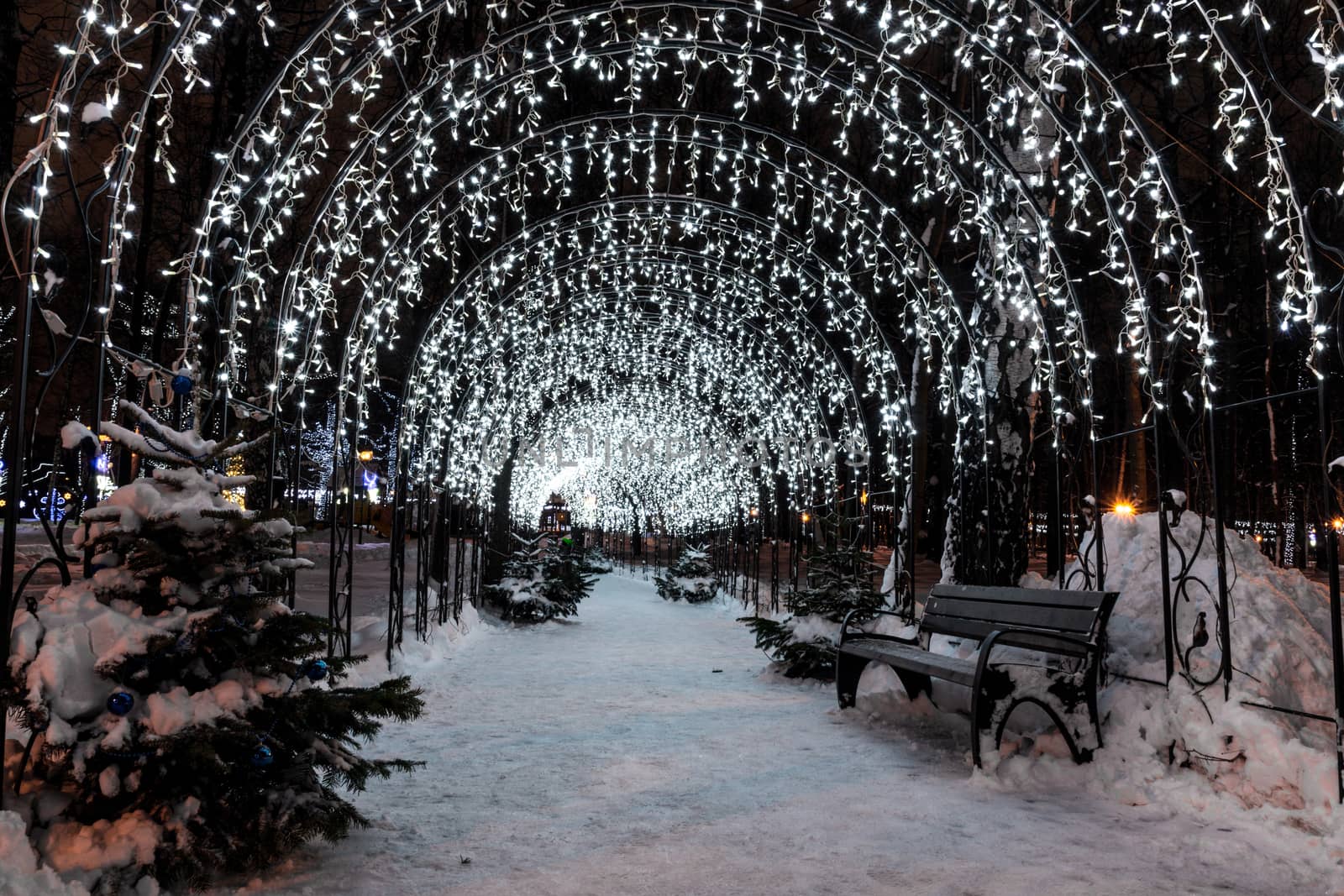 winter path in a light bulb by AlexBush