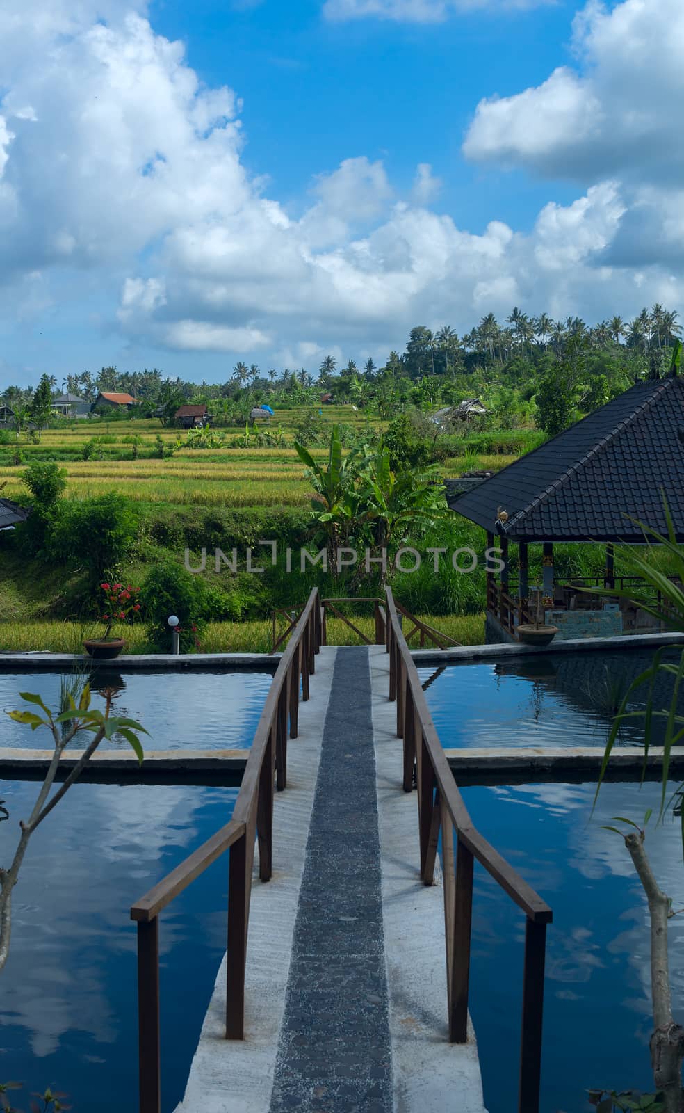 Pavilions on the background of the rice fields in Bali in Indonesia