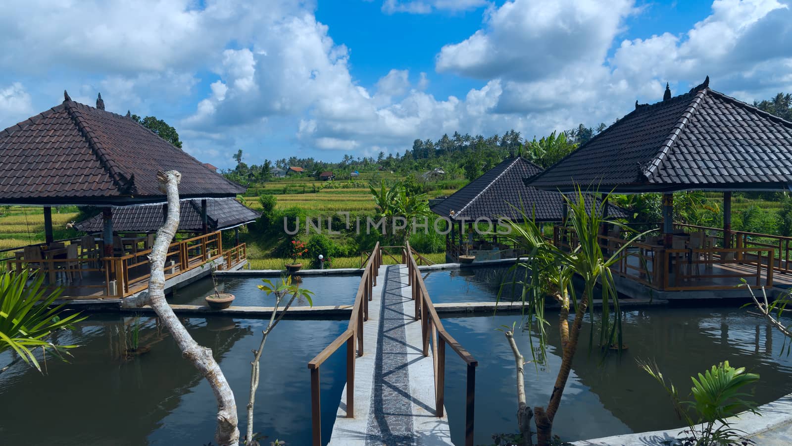 Pavilions on the background of the rice fields in Bali in Indonesia