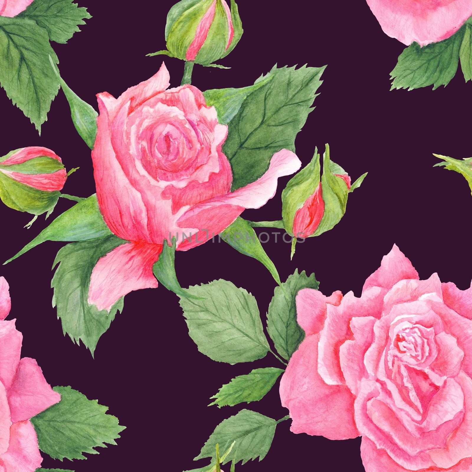 Seamless hand-painted romantic floral illustration with pink roses and buds on black background