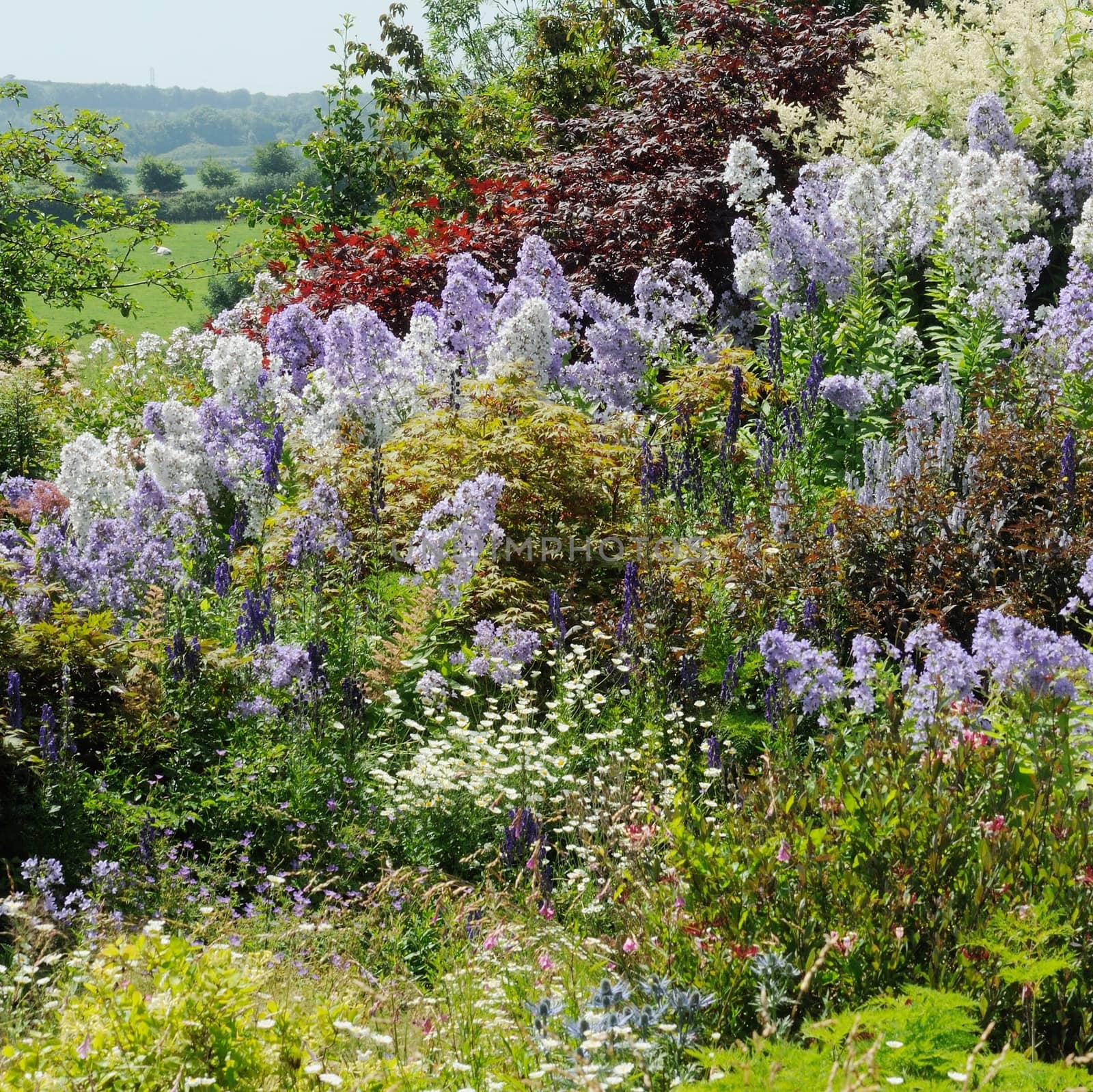 Garden scene resonant of such a sight all over the world where people sculpt,design and tend thier little piece of heaven