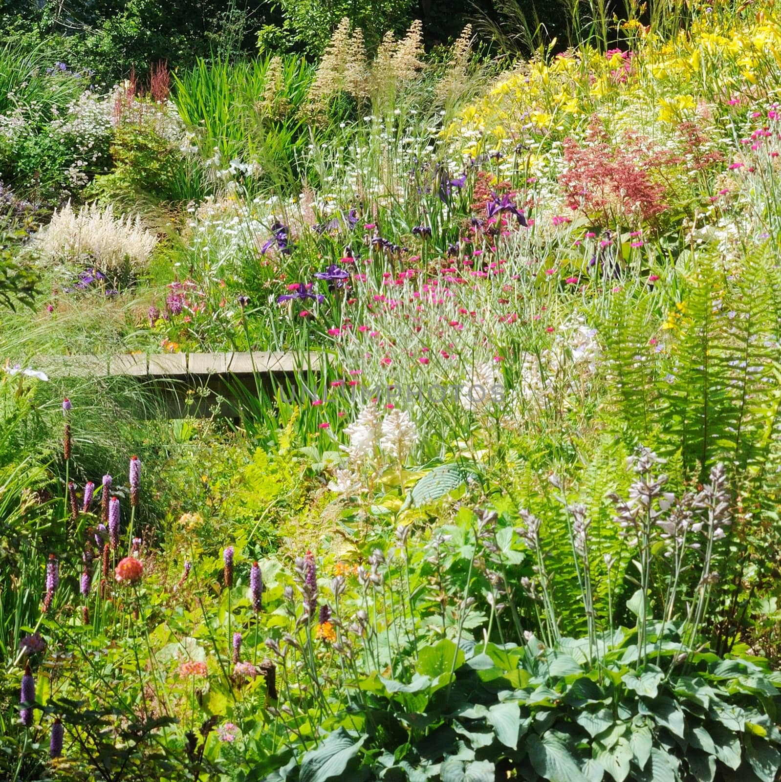 Garden scene resonant of such a sight all over the world where people sculpt,design and tend thier little piece of heaven