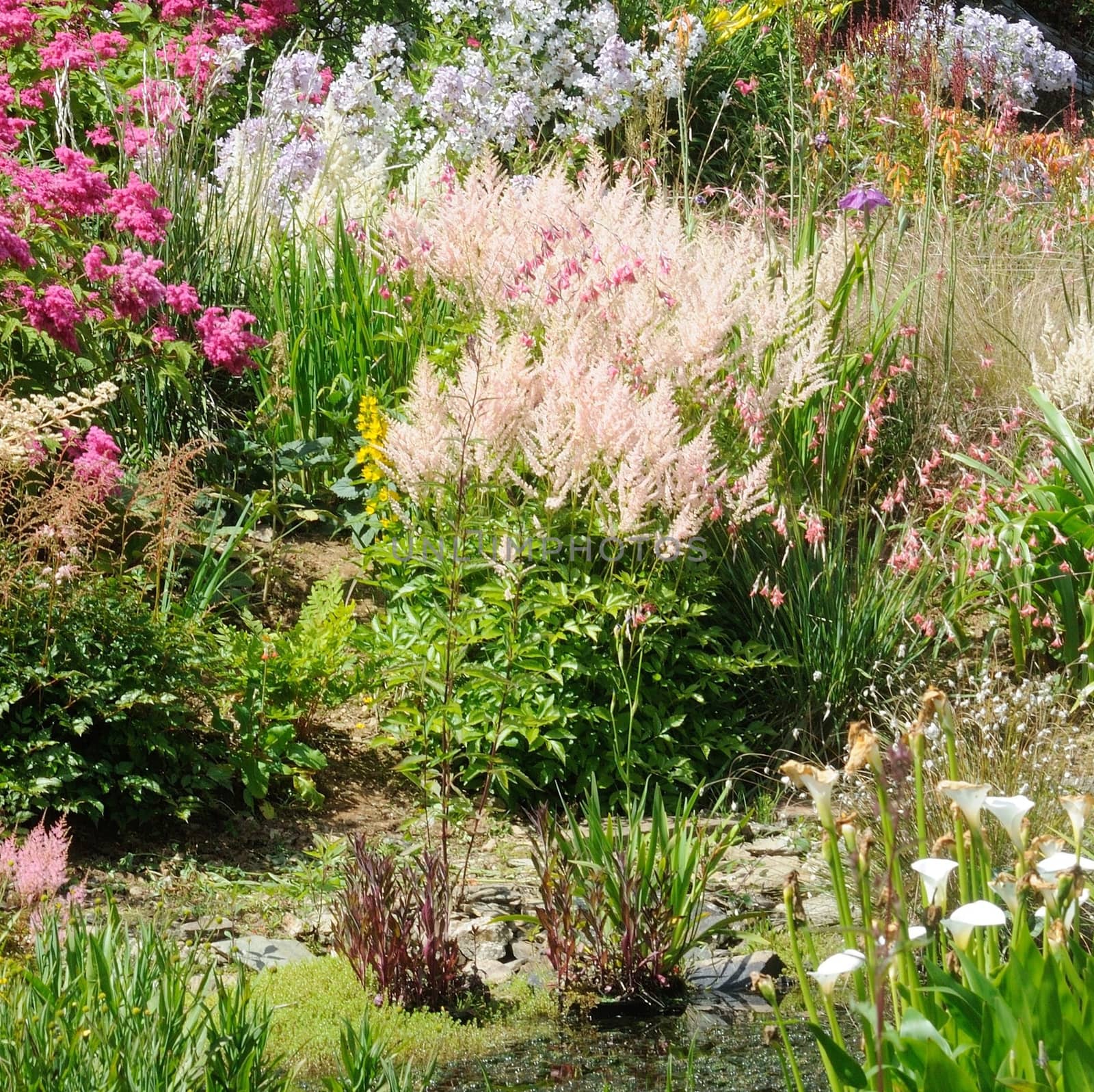 Garden scene resonant of such a sight all over the world where people sculpt,design and tend thier little piece of heaven