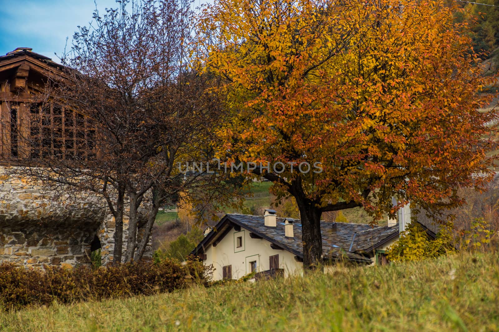 ozein,val d'aoste,italy