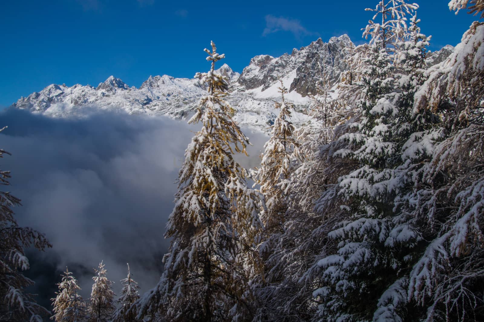 pecleret,chamonix,haute savoie,france